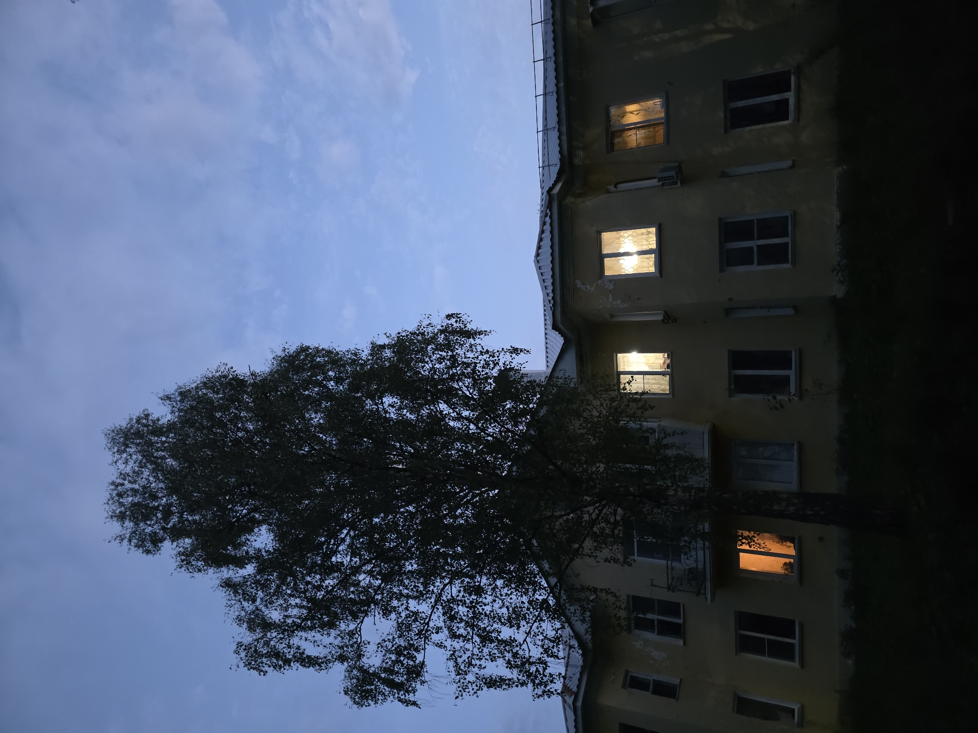A large, dark birch tree with thin leaves stands in front of a yellow, multi-story apartment building. The sky above is a muted blue with scattered clouds, indicating either dawn or dusk. Several windows of the building are illuminated from within, casting a warm glow. The ground in front of the building is covered in dark grass. The image appears to be taken from a ground-level perspective. The location is identified as Magnitka, Russia. There are no people visible in the image.