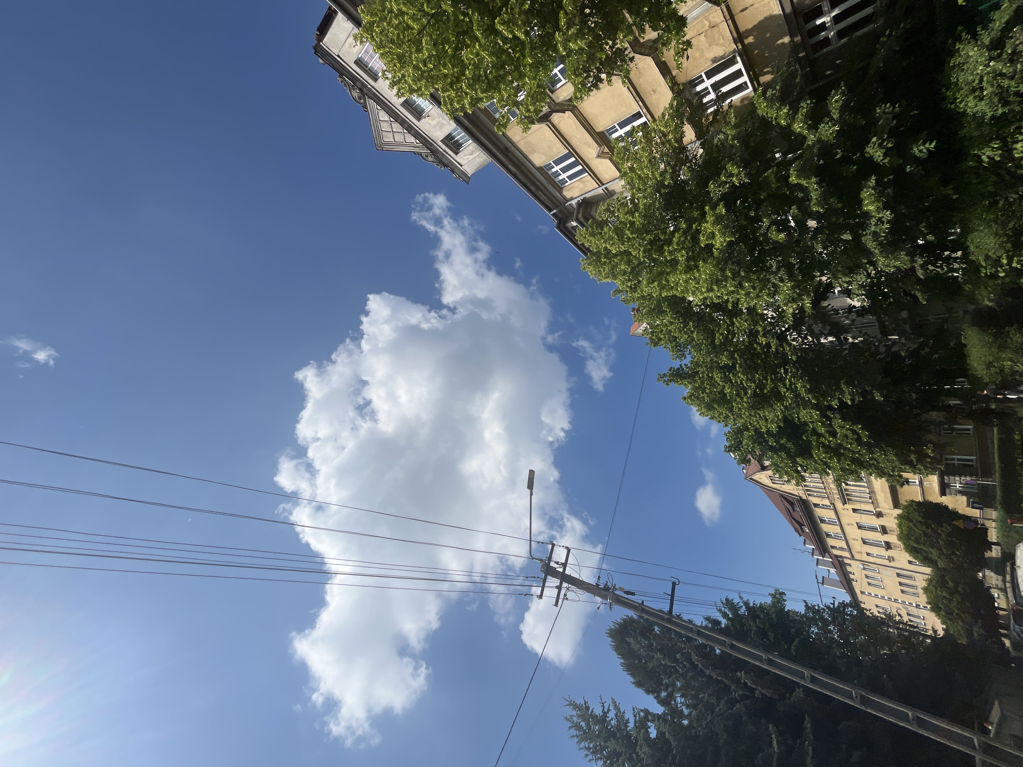 The image presents an upward-angled view of an urban street scene, rotated counter-clockwise, featuring buildings, trees, and sky. The composition is dominated by a bright blue sky with large, fluffy white cumulus clouds.
No people are visible. On the upper left, part of a multi-story, grey-colored building with ornate cornices and numerous windows is seen. Another multi-story building, yellowish-tan in color with a reddish roof and many windows, occupies the right side of the frame. Both buildings are partially obscured by the lush green canopies of deciduous trees, suggesting a spring or summer season. Darker green evergreen trees are also visible towards the bottom right.
Several dark utility lines stretch diagonally across the sky in the lower-middle section of the image. A wooden utility pole, supporting these lines and featuring a street light fixture at its top, stands prominently towards the right. A lens flare is visible in the bottom-left corner, indicating strong sunlight.
The scene depicts a clear and sunny day, likely morning or early afternoon, with scattered clouds. The architecture of the buildings suggests an older urban environment, possibly in Europe. There is no specific activity or event taking place, and no visible text can be identified in the image.