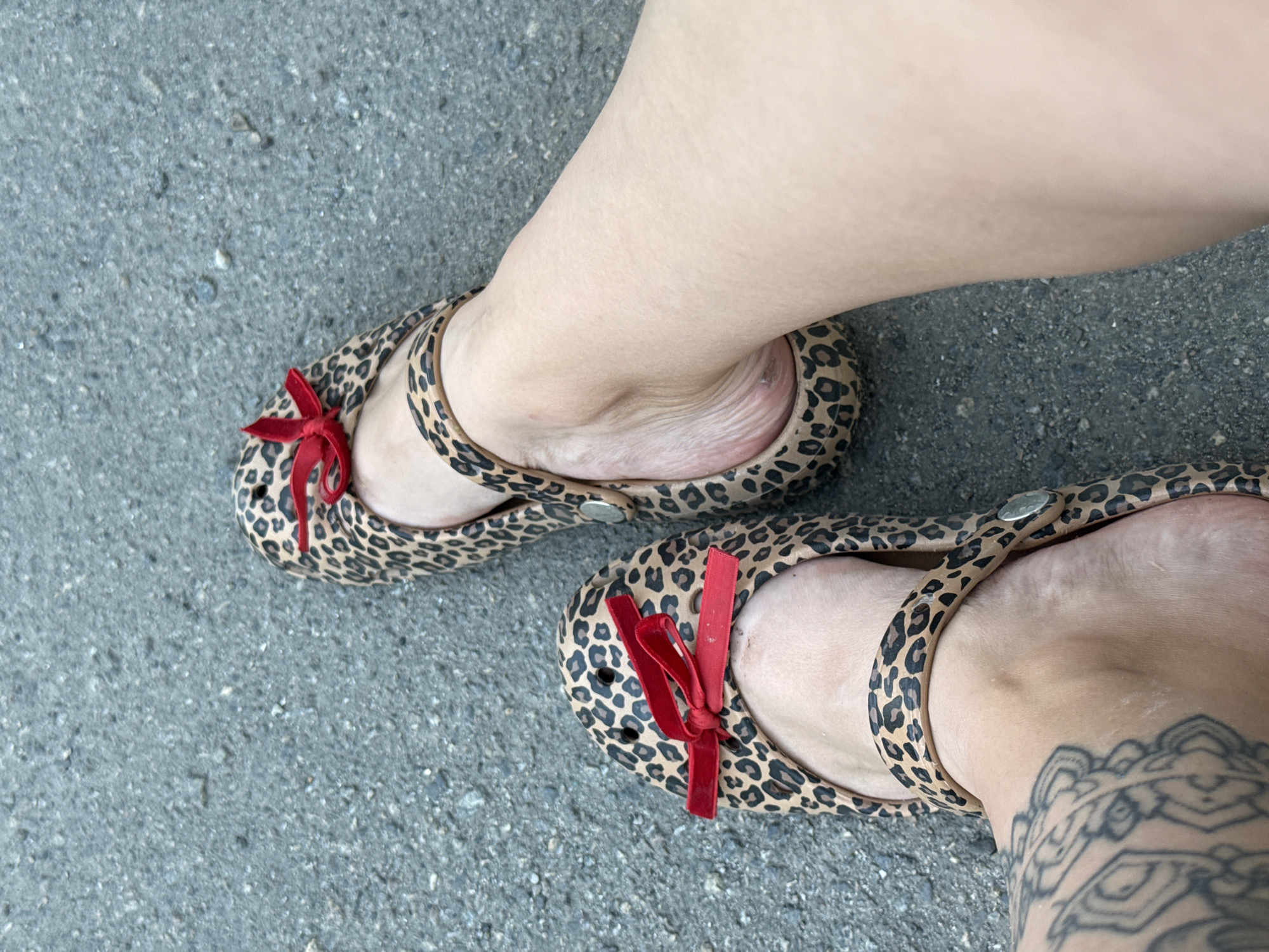 The image shows a close-up, overhead view of a person's feet wearing leopard-print shoes with red bows. The shoes appear to be a type of slip-on or sandal, possibly made of rubber or plastic, with a distinctive pattern of dark brown spots on a tan background. Red velvet bows are tied onto the front of each shoe. One foot is positioned slightly higher and further back than the other, suggesting the person is standing or has just stopped walking. The skin of the feet is smooth and light-toned. A tattoo with intricate, dark linework is visible on the side of the ankle of the lower foot.
The shoes are resting on a gray, asphalt-like surface, which is textured with small stones and pebbles. This surface is consistent with an outdoor setting, such as a sidewalk, pathway, or road. The lighting suggests it is daytime, with no harsh shadows indicating direct sunlight. The overall mood is casual and everyday. The location context provided is Piatykhatky, Ukraine. No text is visible in the image.