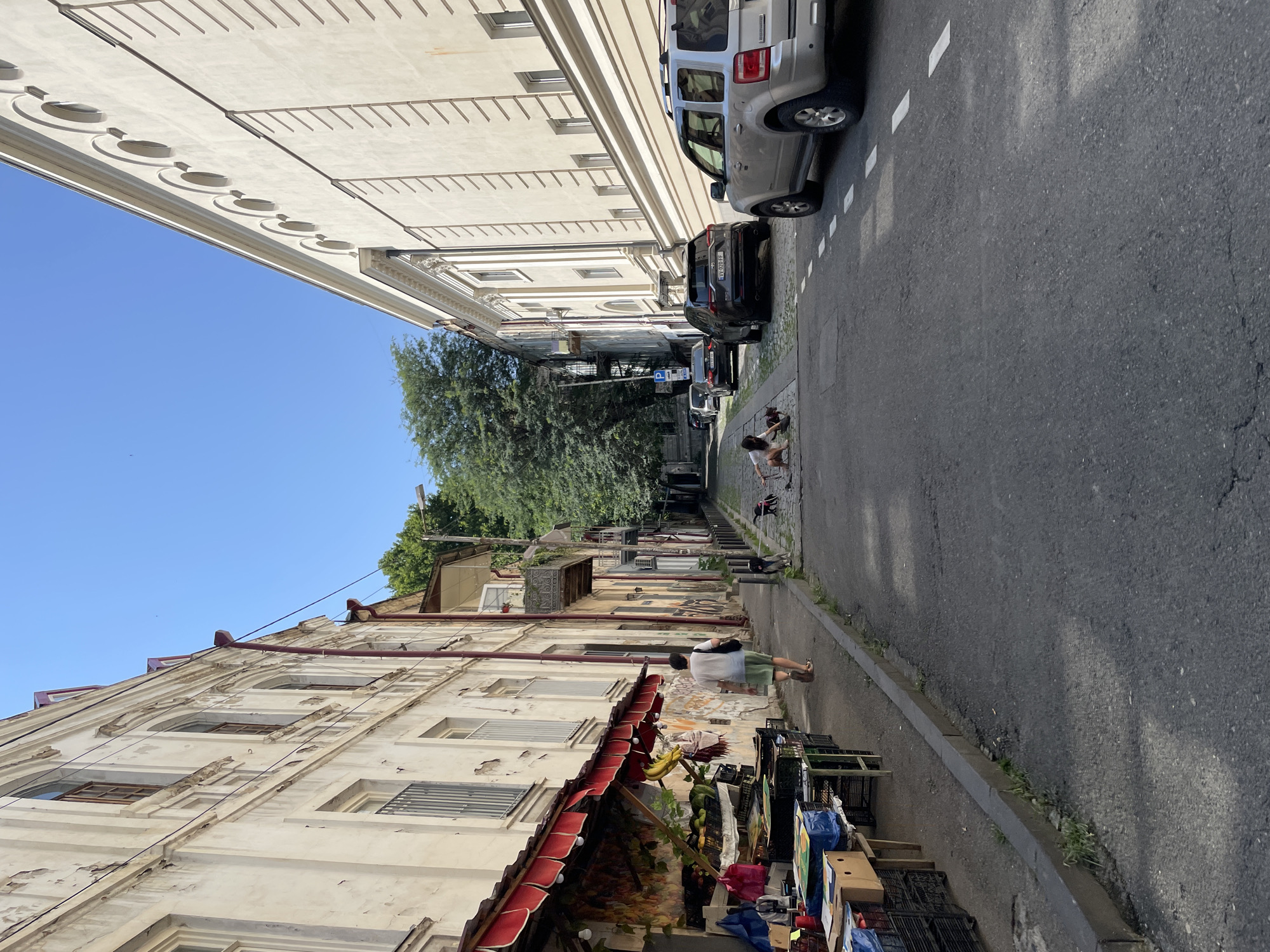The image depicts a narrow street in Tbilisi, Georgia, likely in a historic district, characterized by old buildings on either side. On the left, a weathered, light-colored building with a red awning stretches along the sidewalk, displaying various fruits and goods for sale, suggesting a market stall. A man in a white t-shirt and green shorts walks away from the camera down the sidewalk. On the right, a large, cream-colored building with arched windows and decorative molding dominates the view. Several cars are parked along the street. In the middle ground of the street, two dogs are visible, one black and tan on a leash, and another dark-colored dog. Two people are present in the street, one appearing to be sitting on the ground and interacting with the dogs, while another is in a crouched position nearby. The sky is clear and blue, indicating fair weather. The street itself is paved with asphalt, and the buildings exhibit signs of age and weathering.