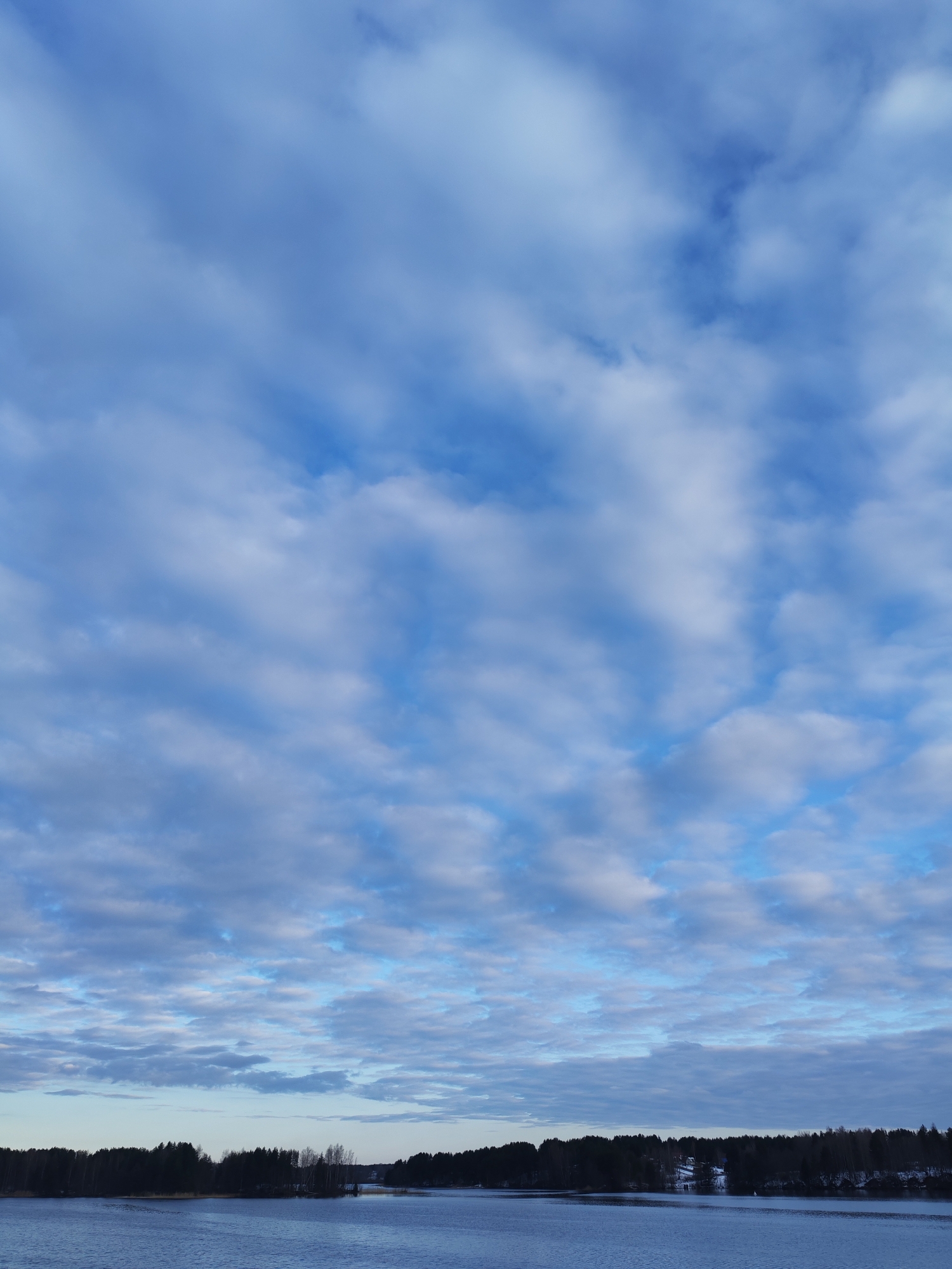 The image depicts a landscape with a body of water in the foreground, a treeline in the midground, and a sky filled with altocumulus clouds in the background. The water appears partially frozen. The treeline consists of coniferous and deciduous trees. The sky is mostly blue with white and grey clouds. The location is likely near Белоусово, Russia based on the query. No people are visible.
