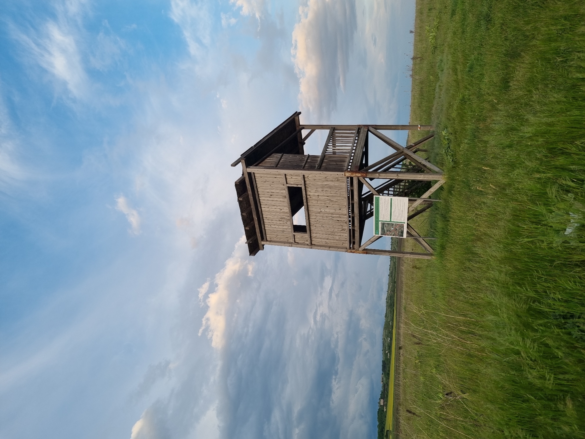 A rotated, full outdoor shot depicts a wooden, two-story lookout tower located in Aldomirovtsi, Bulgaria. The tower is situated in a field of green grass with a yellow field stretching into the distance under a sky filled with white and dark clouds. The tower is constructed of weathered wood, showing a window on the lower level and a partial railing on the upper level. A sign with information is affixed to the tower's base.