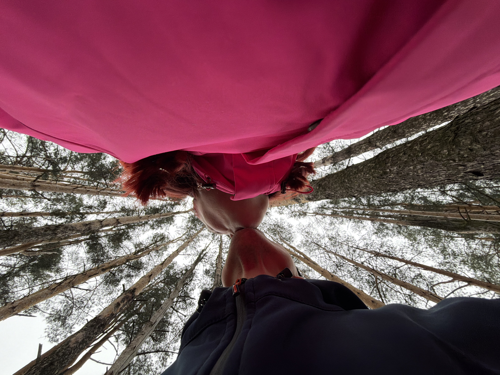 A low-angle shot shows two people standing in a forest in the city of Chaikovsky, Russia. One person wears a bright pink garment, while the other wears a dark blue jacket with a visible zipper. Both individuals have their heads tilted backward, and their faces are in close proximity. The background reveals bare trees with thin branches reaching towards a pale sky.