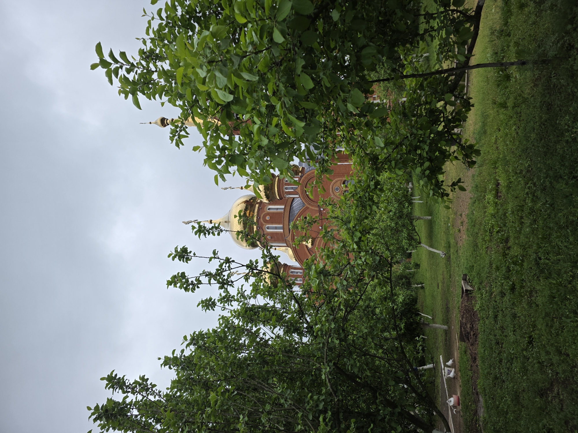The image shows the Alexander Nevsky Cathedral in Chaikovsky, Russia, partially obscured by trees. The cathedral is red-brick with golden domes. The foreground consists of lush green foliage and grass. The sky is overcast. A dirt pathway is partially visible along the ground.