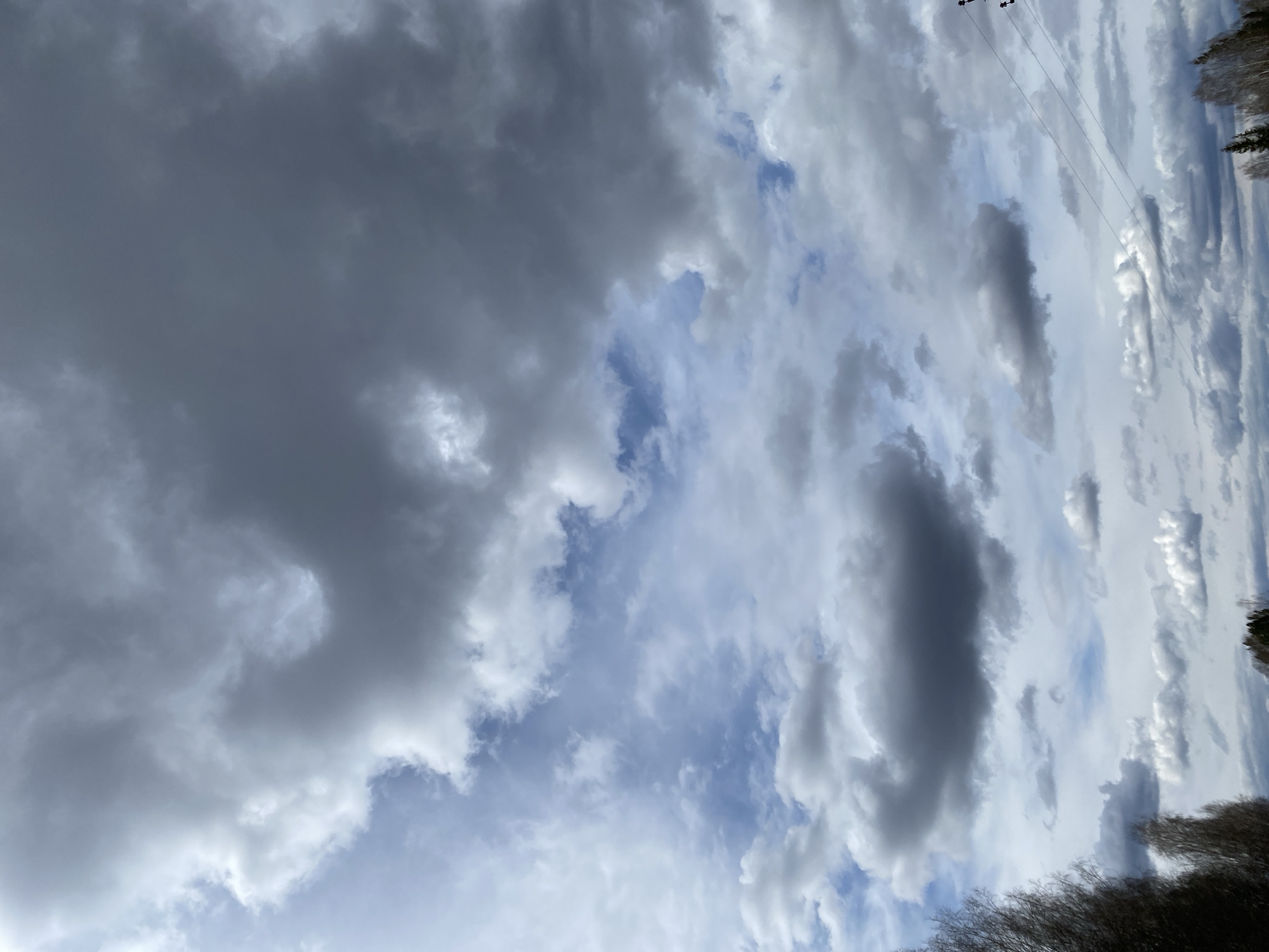 The image shows a view of the sky in Nekrasovo, Russia. The sky is filled with a mix of dark gray storm clouds and lighter white clouds with patches of blue sky visible in between. In the upper right corner, there are power lines visible against the sky. The tops of trees line the lower edge of the image. The angle is looking upward toward the sky from an outdoor location.