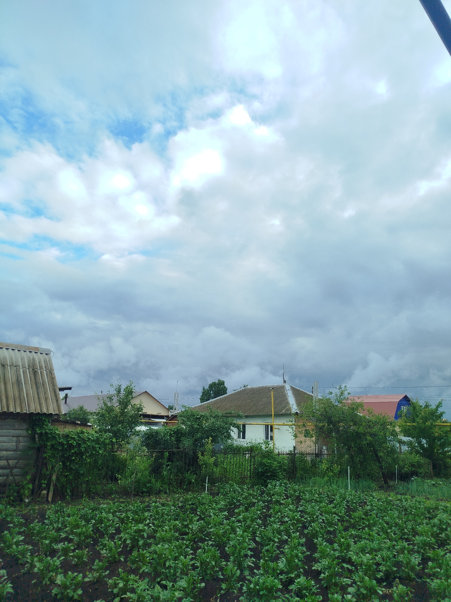 A daytime, eye-level, medium shot captures a rural landscape under a cloudy sky in Krasny Gulyai, Russia. In the foreground, neat rows of lush green plants, possibly potatoes, fill a dark soil bed. A low black metal fence runs horizontally across the middle ground, separating the garden from a cluster of residential buildings and trees. To the left, a weathered, gray, corrugated roof of a small wooden structure is visible. Behind the fence, a light-colored house with a pitched, gray roof and white trim stands prominently. It has two visible windows and a yellow pipe running along the roofline. To the right of this house, another residential building with a red, pitched roof is partially obscured by dense green foliage. A bright blue structure with a white-framed window is visible on the right side of the red-roofed house. The background is dominated by a vast expanse of grey and white clouds, with patches of blue sky peeking through, indicating overcast weather.