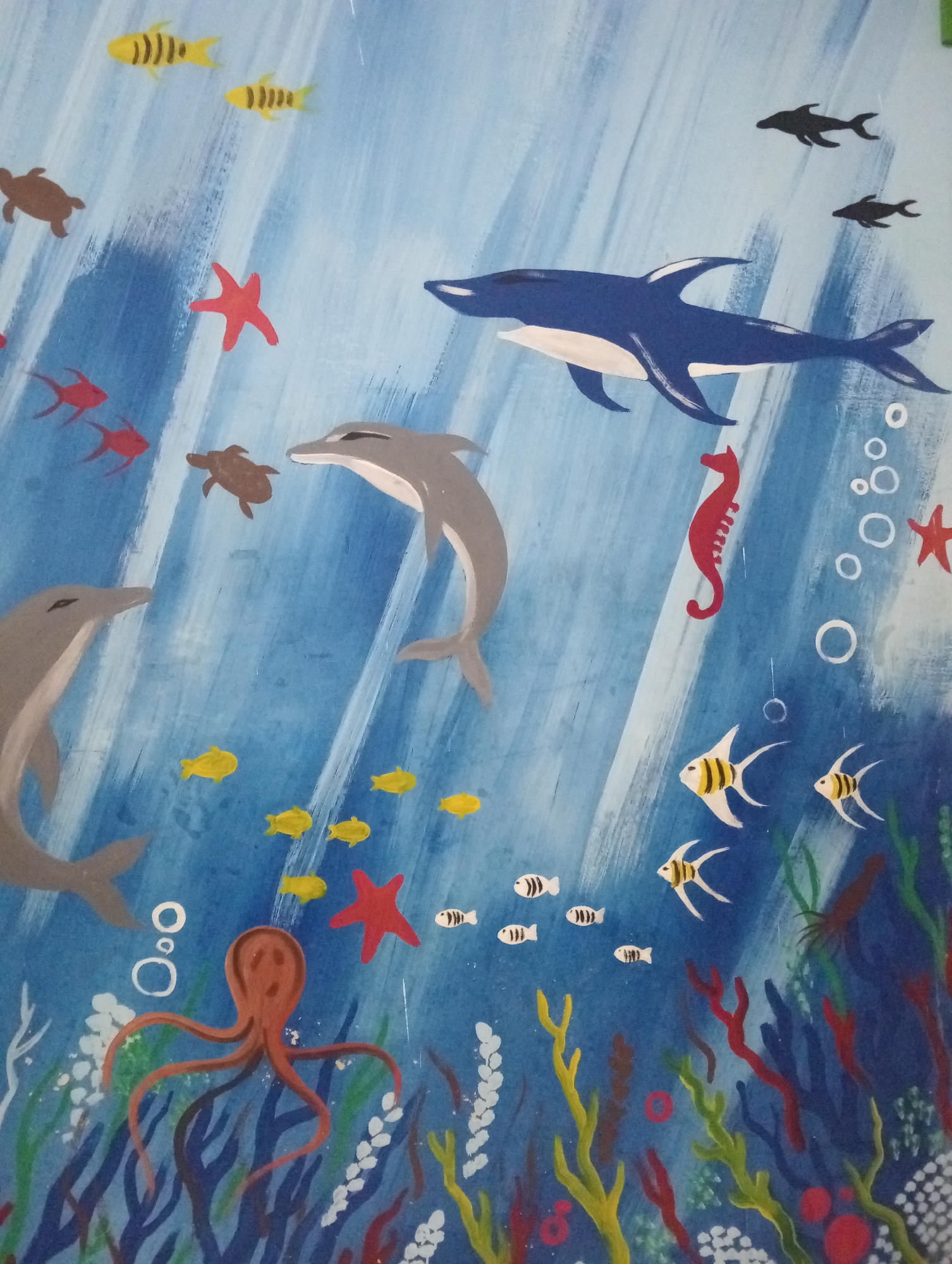 This image is a painting of an underwater scene, likely a mural, depicting various marine life. The style is cartoonish and vibrant, with simplified forms and bright colors.
The environment is a blue ocean with white, streaky brushstrokes suggesting water currents or light. Various sea creatures are depicted:
* **Dolphins:** Two gray dolphins are present, one larger and positioned in the lower right, appearing to swim upwards, and another smaller one in the mid-left, also seemingly in motion.
* **Fish:** Several small yellow fish with black stripes are scattered in the upper and middle sections of the painting. Additionally, there are several small, striped white and black fish in the lower right. Three dark, silhouetted fish are in the upper right.
* **Sea Turtles:** Two small brown sea turtles are visible, one in the upper left and another in the mid-left.
* **Starfish:** Two red starfish are present, one in the upper left and another in the mid-right.
* **Seahorse:** A bright red seahorse is positioned in the mid-right section.
* **Octopus:** A reddish-brown octopus with outstretched tentacles is prominently displayed in the lower left.
* **Coral and Seaweed:** The bottom of the painting features an array of colorful, abstract representations of coral and seaweed in shades of dark blue, green, yellow, red, and white.
There are also several white circular shapes, likely representing bubbles, dispersed throughout the scene.
The painting is located on a wall, likely a decorative mural in a public space. While specific details regarding its exact location in Pringsewu, Indonesia are not ascertainable from the image alone, its style suggests it could be found in a children's area, a marine-themed attraction, or a public building. There are no people visible in the image. The overall impression is one of a lively and playful depiction of marine biodiversity.