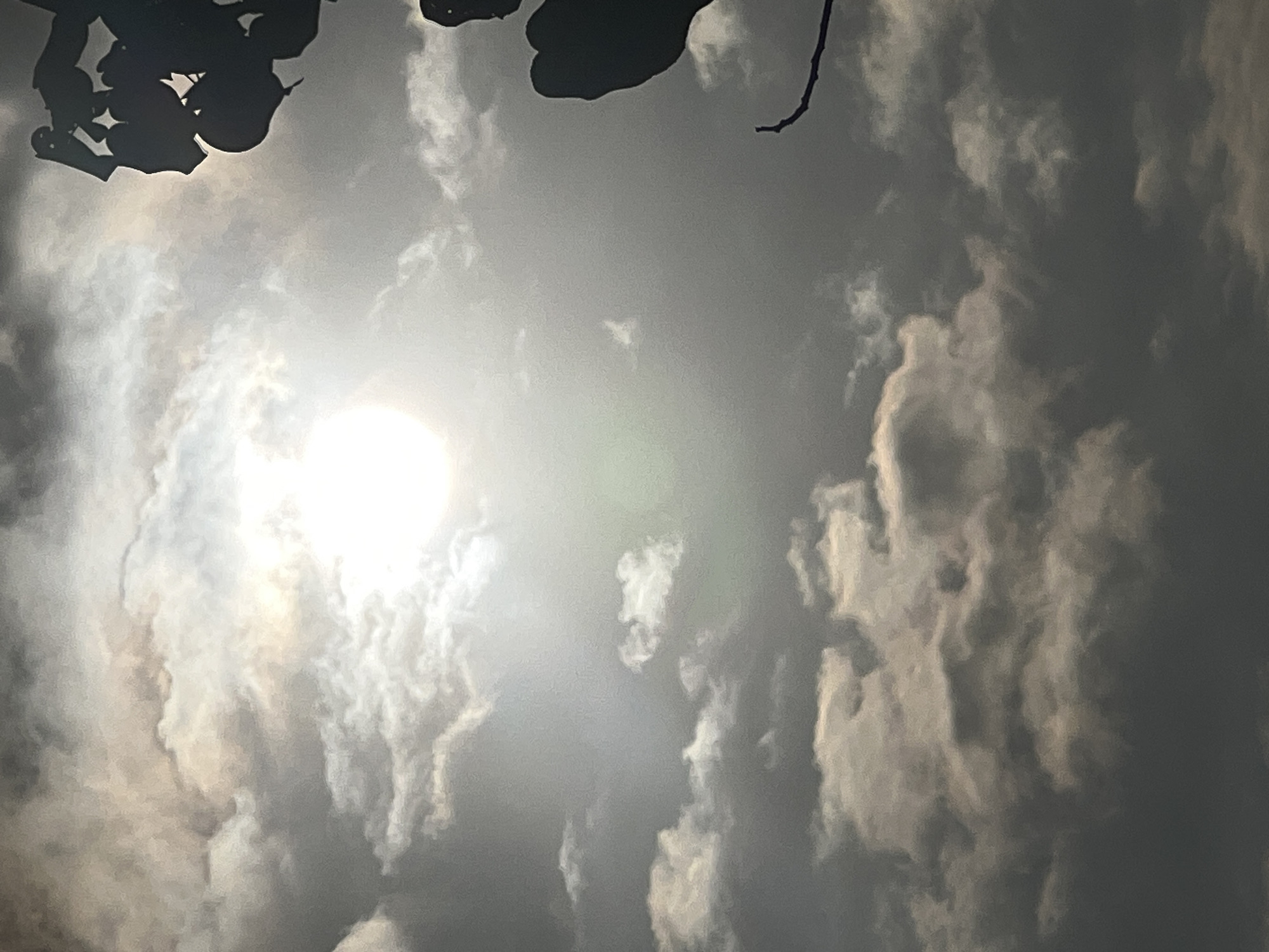 The image is an outdoor, eye-level shot of a cloudy sky with the sun partially obscured by clouds. The sun appears as a bright, diffused circle in the upper center of the frame. Dark silhouettes of tree branches and leaves are visible in the upper right and lower right corners of the image, partially obscuring the sky. The clouds are a mix of white and gray, with some appearing wispy and others more dense. The overall lighting is bright but diffused, suggesting it might be a slightly overcast day or late afternoon. The scene is set against a natural backdrop, likely in an open area where trees are present. There are no people or specific identifiable landmarks to suggest a precise location within Kuta, Indonesia, beyond it being an outdoor setting.