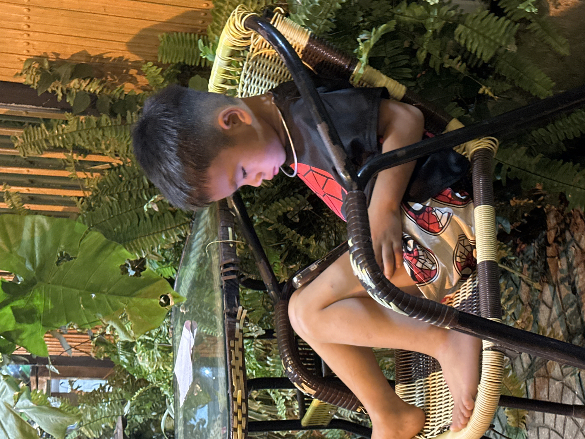 This image depicts a young child engrossed in a smartphone while seated in a woven swing chair, likely in an outdoor or semi-outdoor setting during the evening or night in Mù Cang Chải, Vietnam.
The child, appearing to be a boy with short dark hair, is shown in profile, leaning forward with a focused expression as he looks down at the smartphone held in his hands. He is wearing a dark sleeveless top with a prominent red and black spider-like emblem on the chest, along with patterned shorts featuring similar designs. A white cord, possibly for earphones, is visible around his neck. The child is barefoot, with his legs tucked into the chair.
The swing chair is a distinctive piece of furniture, constructed from woven materials in alternating segments of beige, yellow, and dark brown, supported by sturdy dark metal frames. Lush green foliage, including various ferns and broad-leafed plants, creates a dense, natural backdrop around the child and the chair. Some wooden structures are faintly visible in the upper part of the background. The artificial lighting suggests a low-light environment, creating highlights on the child's face and the chair's details. No visible text is present in the image.