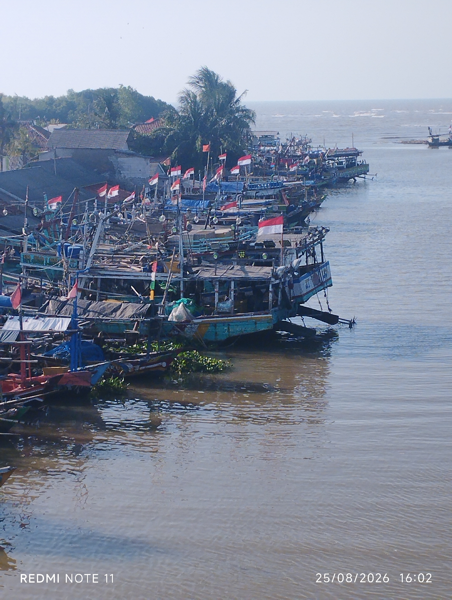 This is a high-angle, medium shot of a crowded harbor filled with numerous fishing boats docked along the shore. The boats, varying in size and color, are packed closely together, creating a dense formation. Many of the boats are adorned with Indonesian flags, suggesting a local or national event. The water is a murky brown, with some aquatic plants visible floating near the vessels. In the background, a lush green hillside covered with trees and some buildings can be seen, indicating a coastal or riverside settlement. The sky is clear and a pale blue, suggesting a daytime scene. The timestamp at the bottom right corner indicates the image was captured on August 25, 2026, at 4:02 PM, and the text "REDMI NOTE 11" suggests the image was taken with a Redmi Note 11 smartphone. This scene is likely located in a coastal area of Karawang, Indonesia, a region known for its fishing industry.