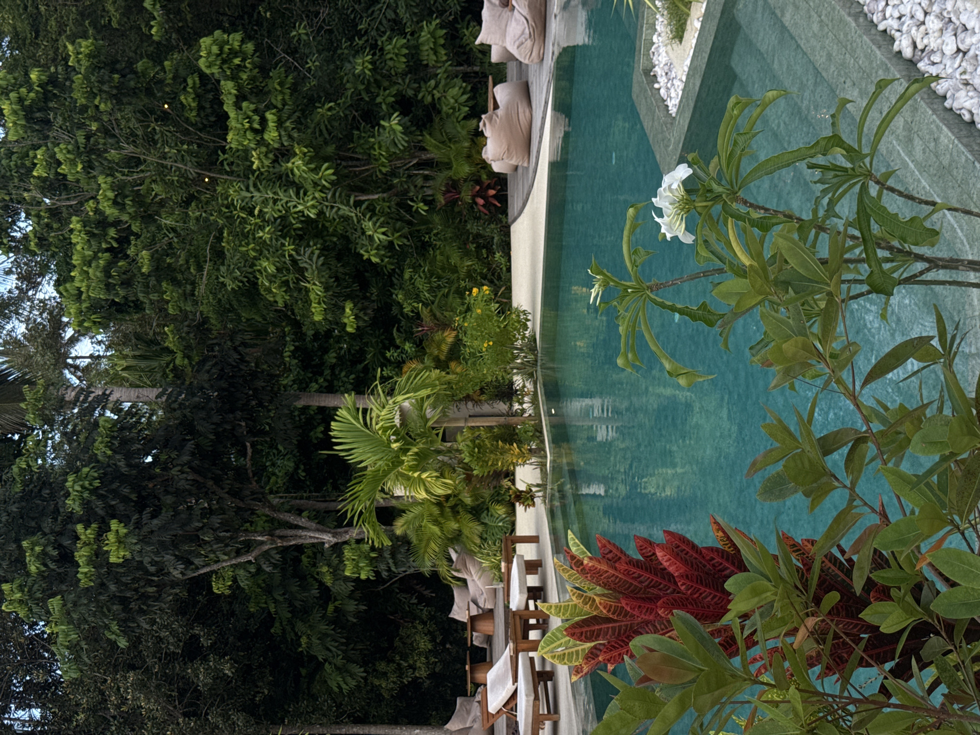 The media file shows a tranquil outdoor scene with a swimming pool surrounded by lush tropical vegetation. The swimming pool is a prominent feature, with its turquoise water reflecting the surrounding greenery. The poolside is lined with white pebbles and a wooden deck. Several lounge chairs with white cushions are neatly arranged on the deck, suggesting a place for relaxation and leisure.
To the left of the pool, a dense canopy of trees and palm fronds creates a verdant backdrop. The foliage is a mix of various shades of green, indicating a healthy and thriving tropical environment. In the foreground, on the right side of the image, a flowering plant with white blossoms adds a touch of delicate beauty to the scene. Another plant with striking red and green leaves is also visible, contributing to the vibrant color palette of the environment.
The overall atmosphere is peaceful and serene. The lighting suggests it could be late afternoon or early morning, with soft, diffused light illuminating the scene. The location cues, such as the abundant tropical plants and the style of the outdoor furniture, hint at a resort or a private villa in a warm, exotic destination. The absence of people suggests a moment of solitude or a time before guests arrive or after they have departed. There is no visible text in the image. The scene evokes a sense of calm and relaxation, typical of a tropical getaway.