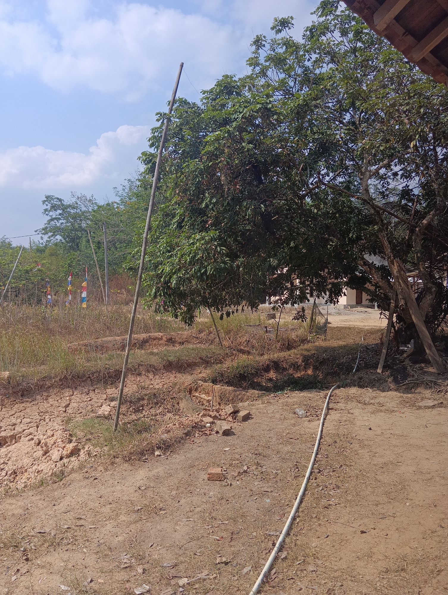 The image depicts an outdoor scene in Pematang Jaya, Indonesia. In the foreground, a dirt path leads away from the viewer, marked by a long, thin white pipe running diagonally across it. The ground is dry and dusty, with scattered dry leaves and some scattered bricks. To the left of the path, there is a dry, cracked earth embankment. In the midground, several thin wooden poles stand upright, some with colorful flags or banners attached. Beyond the poles, there is dry, tall grass and vegetation, and further back, a dense cluster of green trees. To the right of the path, a large tree with full green foliage dominates the midground, with branches extending towards the viewer. Behind the trees, a building with a visible roofline and walls is situated in the background. The sky above is blue with scattered white clouds.