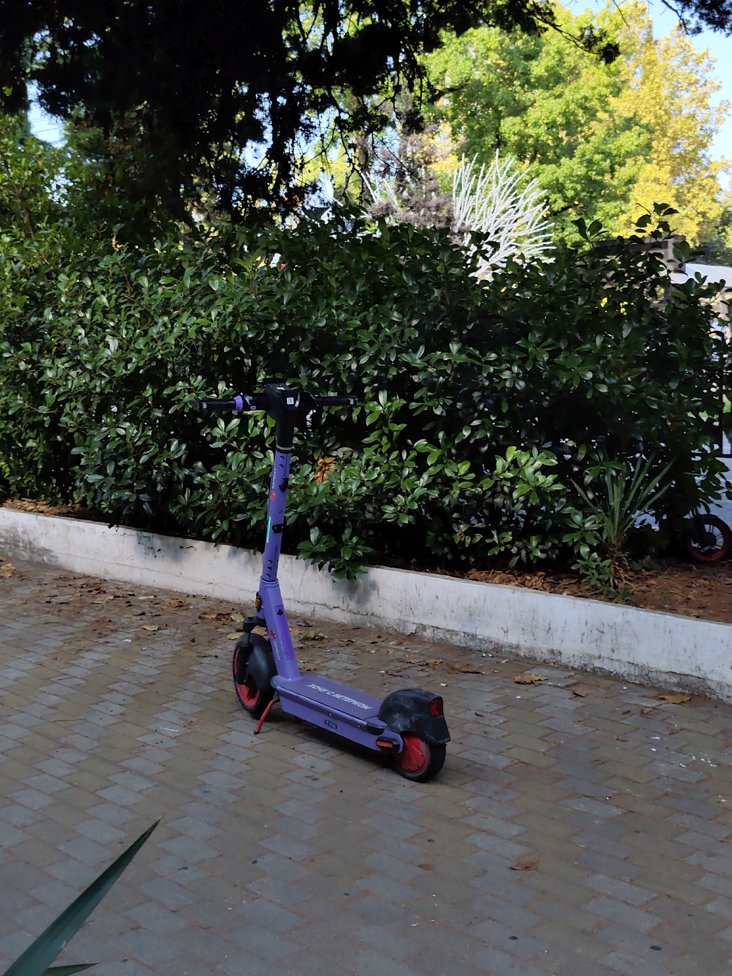 The image shows a purple electric scooter parked on a paved pathway in an outdoor area, likely a park or public space, surrounded by lush green bushes and trees. In the background, a white, decorative structure resembling a large fan or branching element is visible, along with trees displaying autumn foliage, suggesting the season. The scooter is upright and appears to be functional, with red accents on its wheels. The pathway is made of light-colored rectangular pavers. A low concrete curb separates the pathway from a darker, mulched area beneath the bushes. The scene is well-lit by natural sunlight. The location is specified as the city of Sochi, Russia.