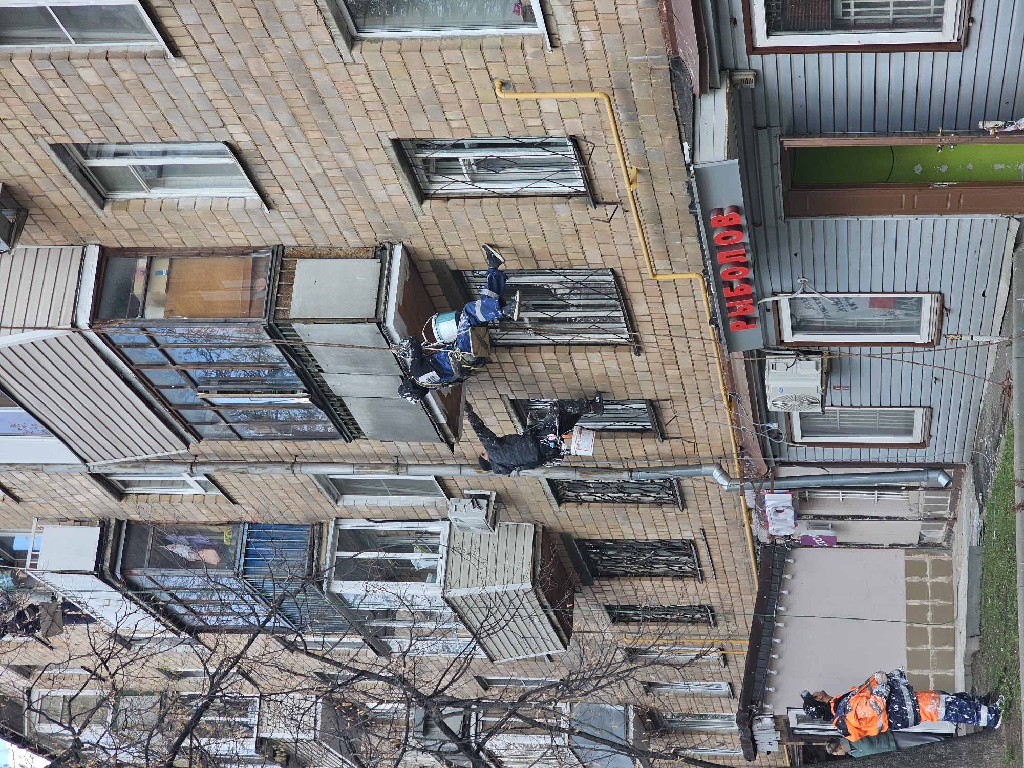 The image shows an exterior view of a multi-story brick building in Khimki, Russia. Two workers are suspended on ropes, performing maintenance on the building's facade, specifically painting window frames. One worker is wearing blue work clothes with a paint bucket, while the other is wearing darker work clothes. A yellow gas pipe runs along the building's exterior.
Adjacent to the brick building is another structure with a sign in red Cyrillic letters that appears to read "РЫБОЛОВ" (RYBOLOV), meaning "Fisherman". The building is made of corrugated material with a green door. An air conditioning unit is mounted on the wall.
Below, near ground level, there's a person lying down next to a tree trunk, wearing bright orange and blue work clothes. The environment suggests an urban setting with visible tree branches in the foreground. Patches of exposed groundwork or repair are visible.