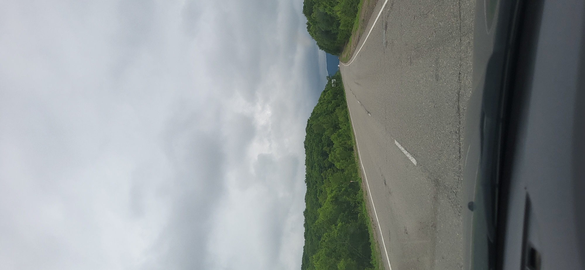 The image shows a road in the city of Zanadvorovka, Russia. The road is asphalt and has two lanes. There are green trees on both sides of the road. The sky is cloudy and gray. There are no people or vehicles visible in the image. The image appears to have been taken from inside a car.