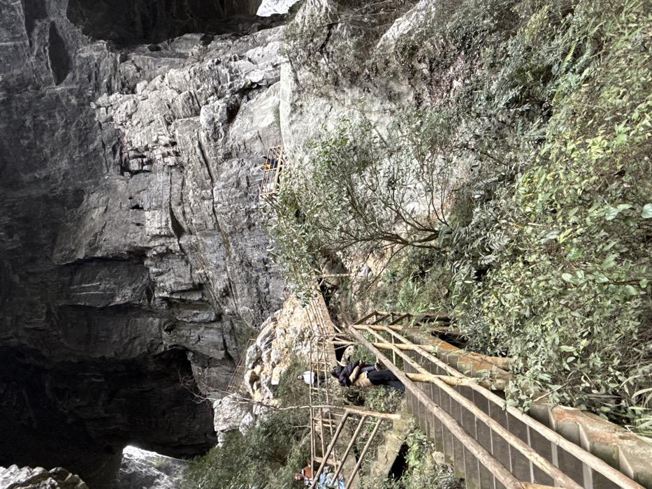 The image depicts an expansive natural rock formation within a karst landscape, specifically located in Wulong District, Chongqing, China, likely part of the Three Natural Bridges (Tiankeng Three Bridges) site. The scene is dominated by immense, rugged grey rock cliffs and formations that rise steeply, with two large natural archways visible: a prominent dark opening towards the upper left, and a smaller, brighter opening on the far right.
A complex system of man-made pathways is integrated into the environment. In the foreground, concrete stairs with wooden log railings ascend from the lower left, extending upwards and into the mid-ground. Numerous sections of these stairs and wooden walkways are visible at various elevations, following the contours of the rock face. A distinct wooden viewing platform with railings is visible high on the right side of the main rock wall. The lower and mid-sections of the terrain are covered with dense, green vegetation, including trees, shrubs, and various foliage.
Approximately 7-10 individuals are present. In the lower-left foreground, a person in a dark jacket is ascending the concrete stairs, appearing to carry or embrace a smaller individual. Further up and to the left, two individuals are visible on a pathway section. In the mid-ground, a single person in a light top stands on another pathway. On the wooden viewing platform on the upper right, at least two individuals are observed, one wearing a yellow top. Additional indistinct figures are visible on elevated pathways in the upper mid-ground. The individuals are engaged in traversing the pathways, indicating recreational activity within the natural geological structure.