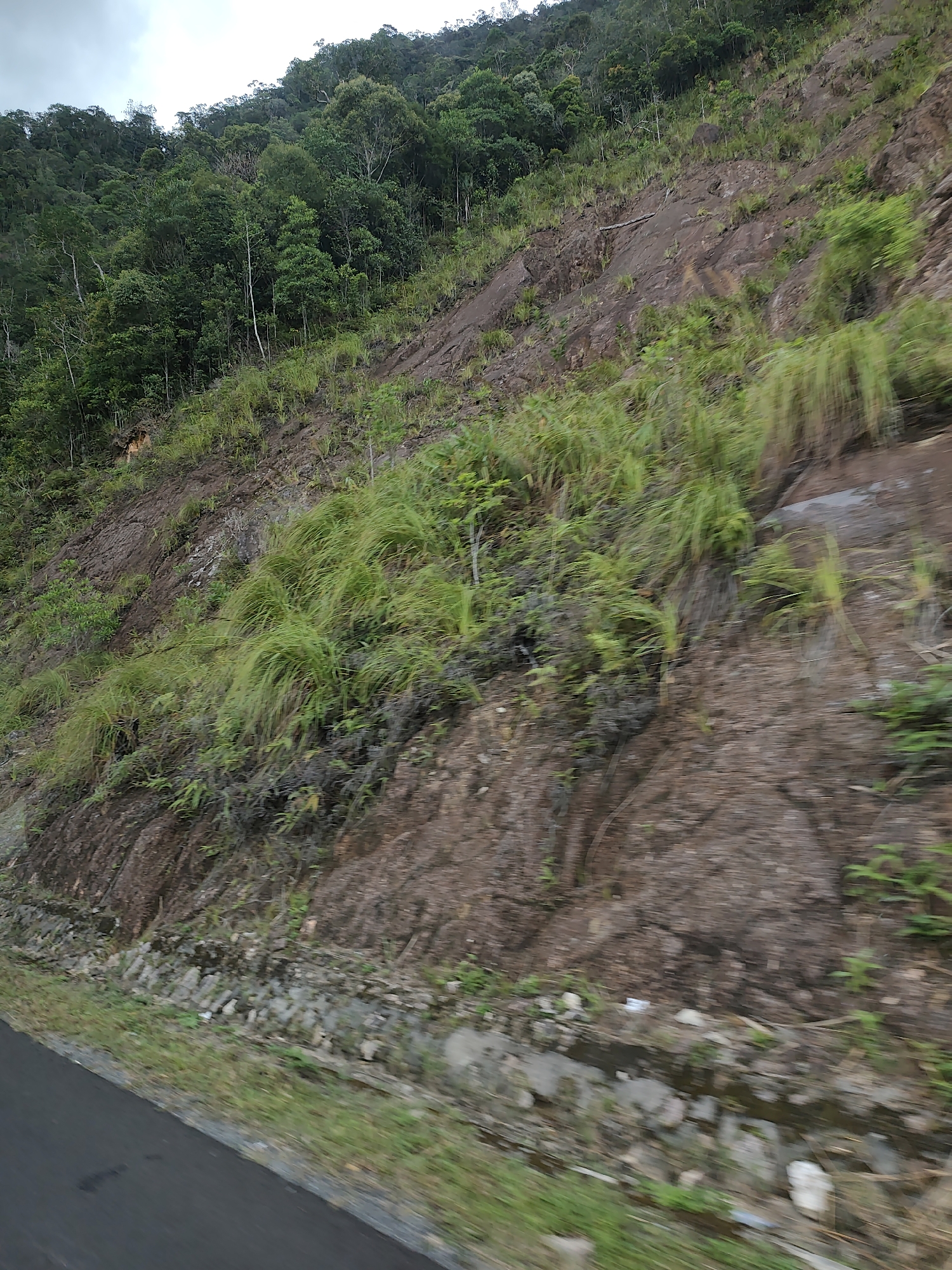 The image depicts a steep, rocky hillside covered in lush green vegetation. The hillside is densely forested at the top and transitions to sparser growth of grasses and small bushes further down. Several patches of exposed rock are visible, with reddish-brown and gray tones. The ground at the base of the hill is a mix of dirt, small stones, and some overgrown grass. A narrow, dark asphalt road runs along the bottom edge of the frame, with a grassy shoulder bordering the hillside. The sky is overcast with a pale, grayish-white hue. There are no people or animals visible in the frame. The scene appears to be a natural landscape alongside a road.