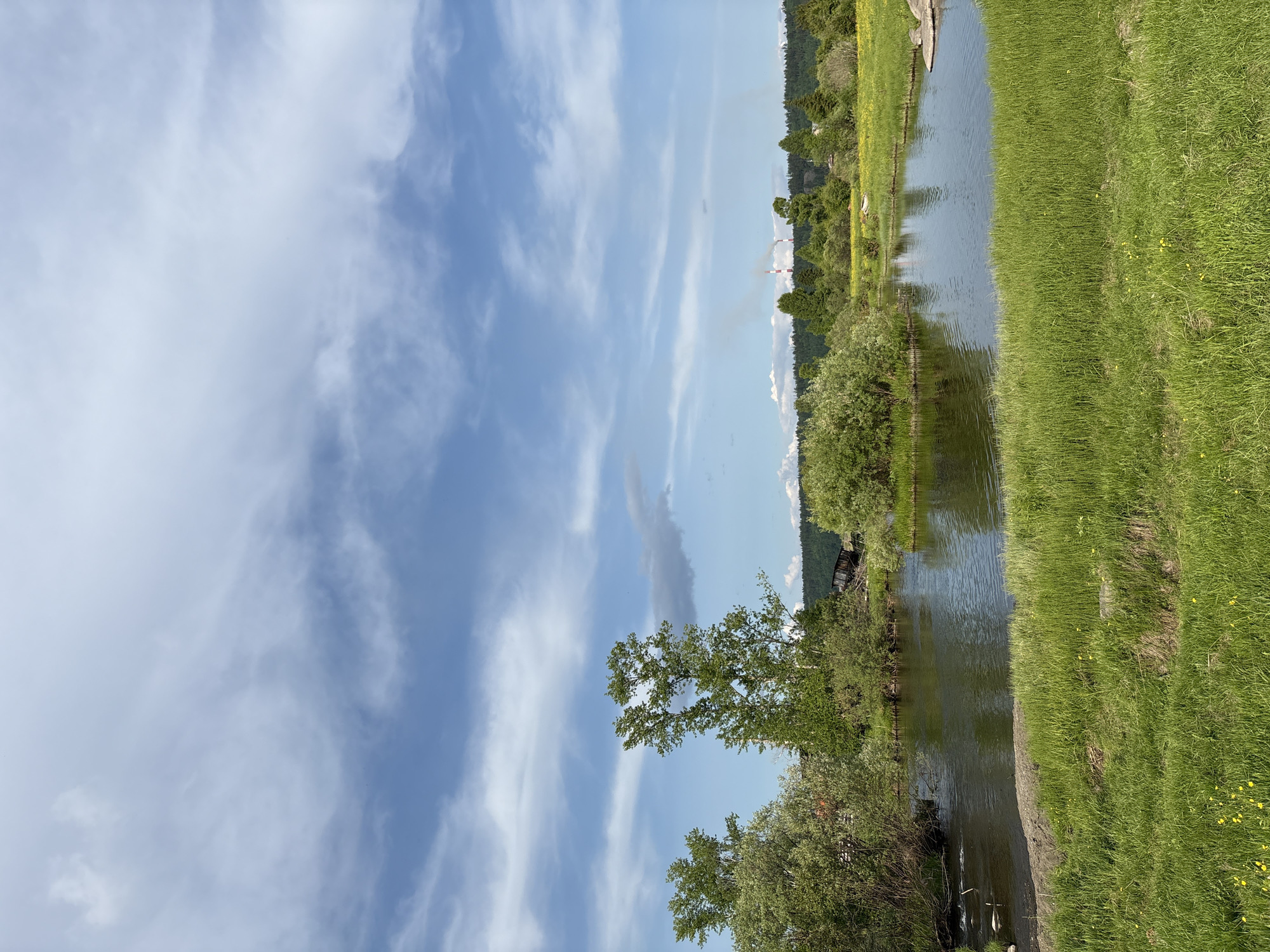The image depicts a serene natural landscape on a partly cloudy day. A calm body of water, possibly a river or lake, occupies the mid-ground, reflecting the sky and surrounding greenery. Lush green grass covers the foreground, with scattered yellow wildflowers adding touches of color. Trees of various sizes and densities line the banks of the water and extend into the background. In the distance, a line of coniferous trees forms a dark forest against the horizon. Beyond the forest, two industrial smokestacks with red and white stripes are visible, emitting plumes of smoke, indicating a distant industrial presence, likely the Nevon pulp and paper mill. The sky is a vibrant blue, adorned with wispy white clouds, suggesting fair weather. The overall scene evokes a sense of peaceful coexistence between nature and industry.