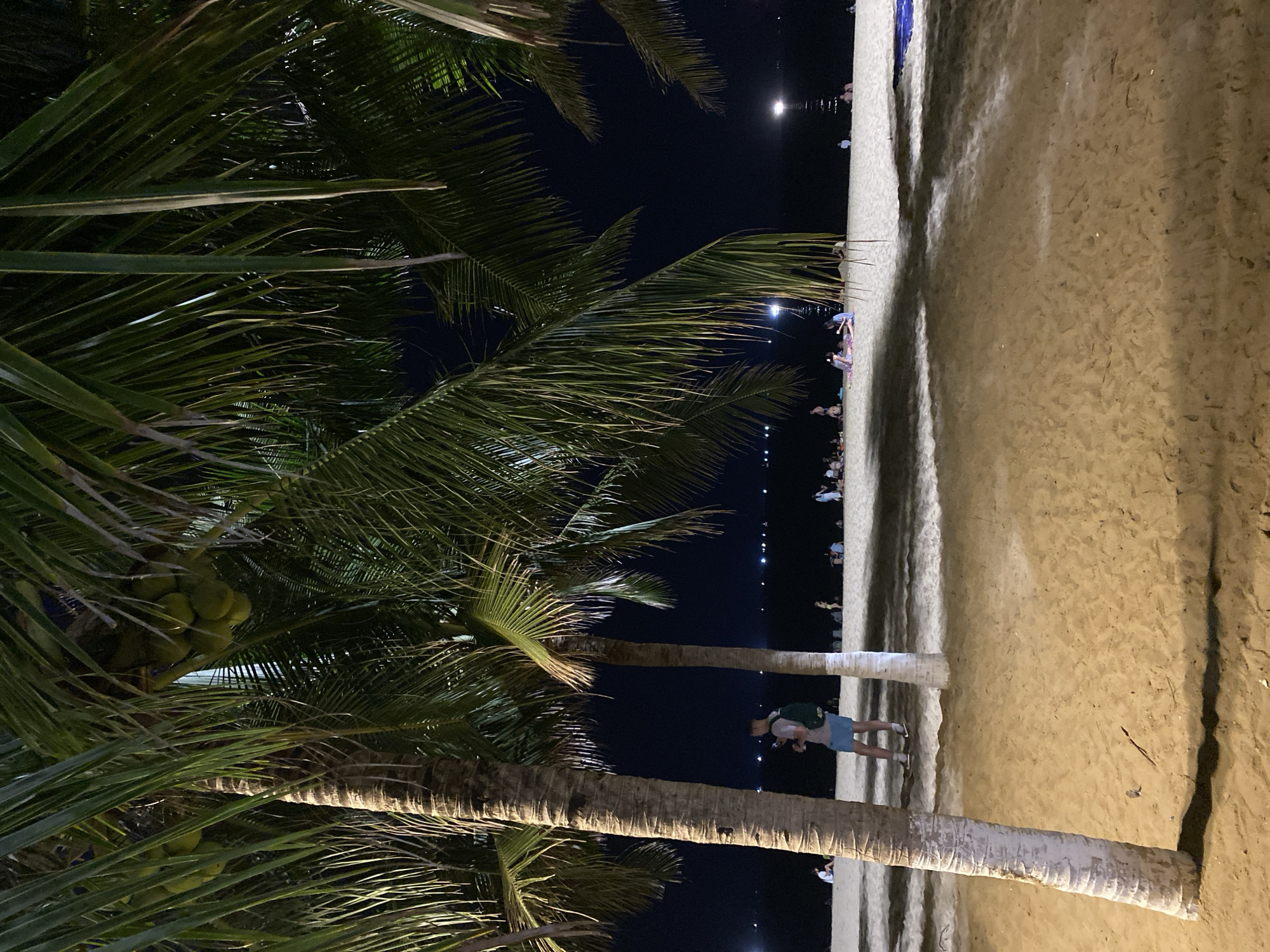 This is a nighttime photograph taken on a sandy beach, likely in Nha Trang Ward, Vietnam. The foreground is dominated by the sandy beach and the lower trunks of two prominent palm trees. Beyond the palm trees, the beach extends to the ocean, which is dark and reflects lights from what appears to be a shoreline or pier in the distance.
Several people are scattered across the beach in the midground and background, some sitting on the sand, others standing or walking. They are casually dressed and appear to be enjoying the evening. One man is standing near the palm trees in the midground, wearing a light-colored t-shirt, blue shorts, a backpack, and sneakers. The overall atmosphere is relaxed and tranquil. The lighting is dim, with artificial lights illuminating parts of the beach and the distant shoreline, creating shadows from the palm fronds.