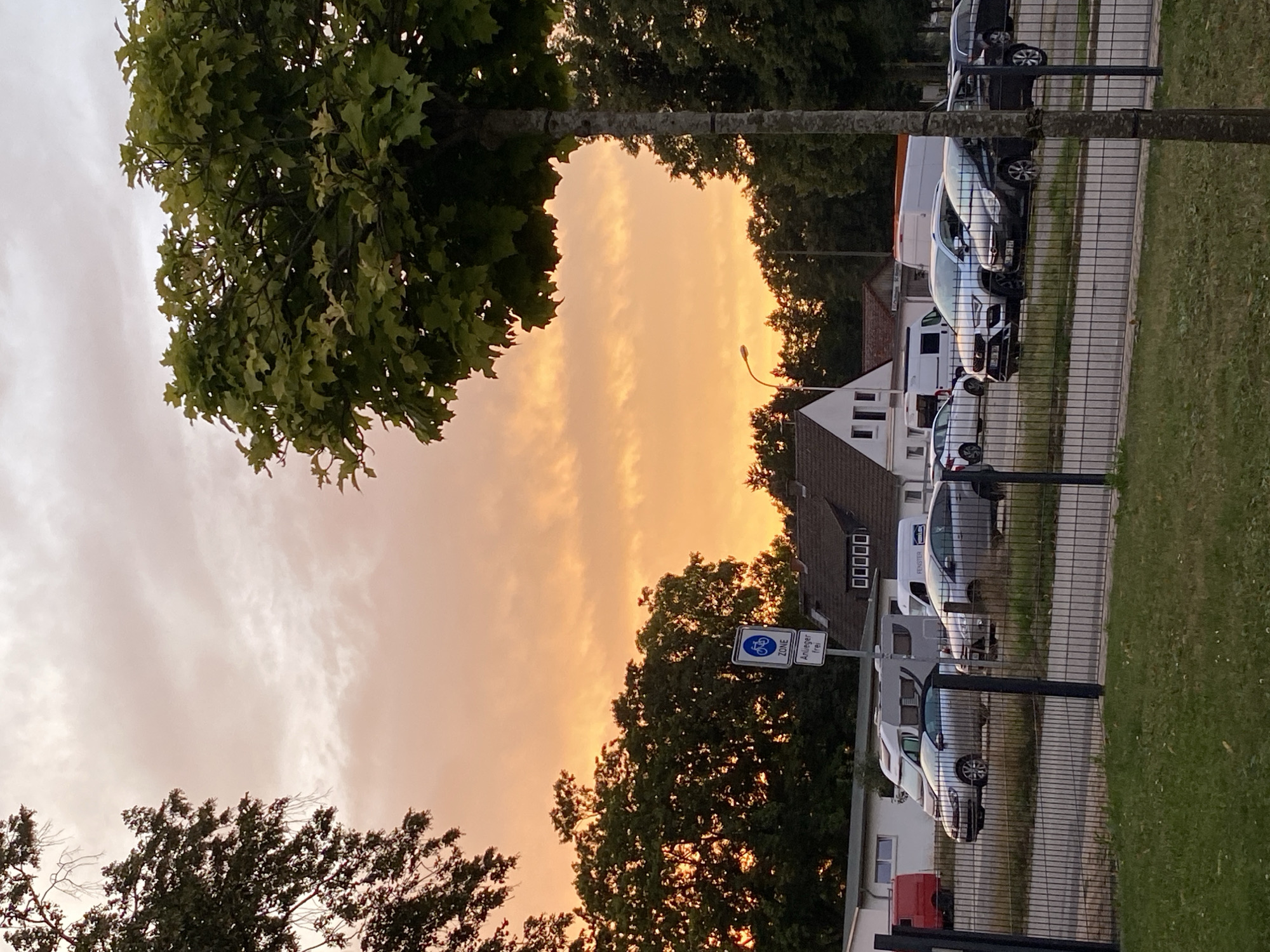 The image depicts an outdoor scene in Rinteln, Germany, during what appears to be sunset. The sky is filled with dramatic orange and pink clouds. In the foreground, a metal fence separates a grassy area from a parking lot. The parking lot contains several vehicles, including cars, a caravan, and a red van. Trees line the background, some of which are quite large and leafy, with one particularly prominent tree in the right foreground. A white building with a dark roof and multiple windows is visible behind the parking lot, along with a street lamp and various signs. One sign features a blue bicycle symbol and the text "ZONE" and "Anlieger frei". The overall impression is a calm, suburban evening scene. There are no people visible in the image.