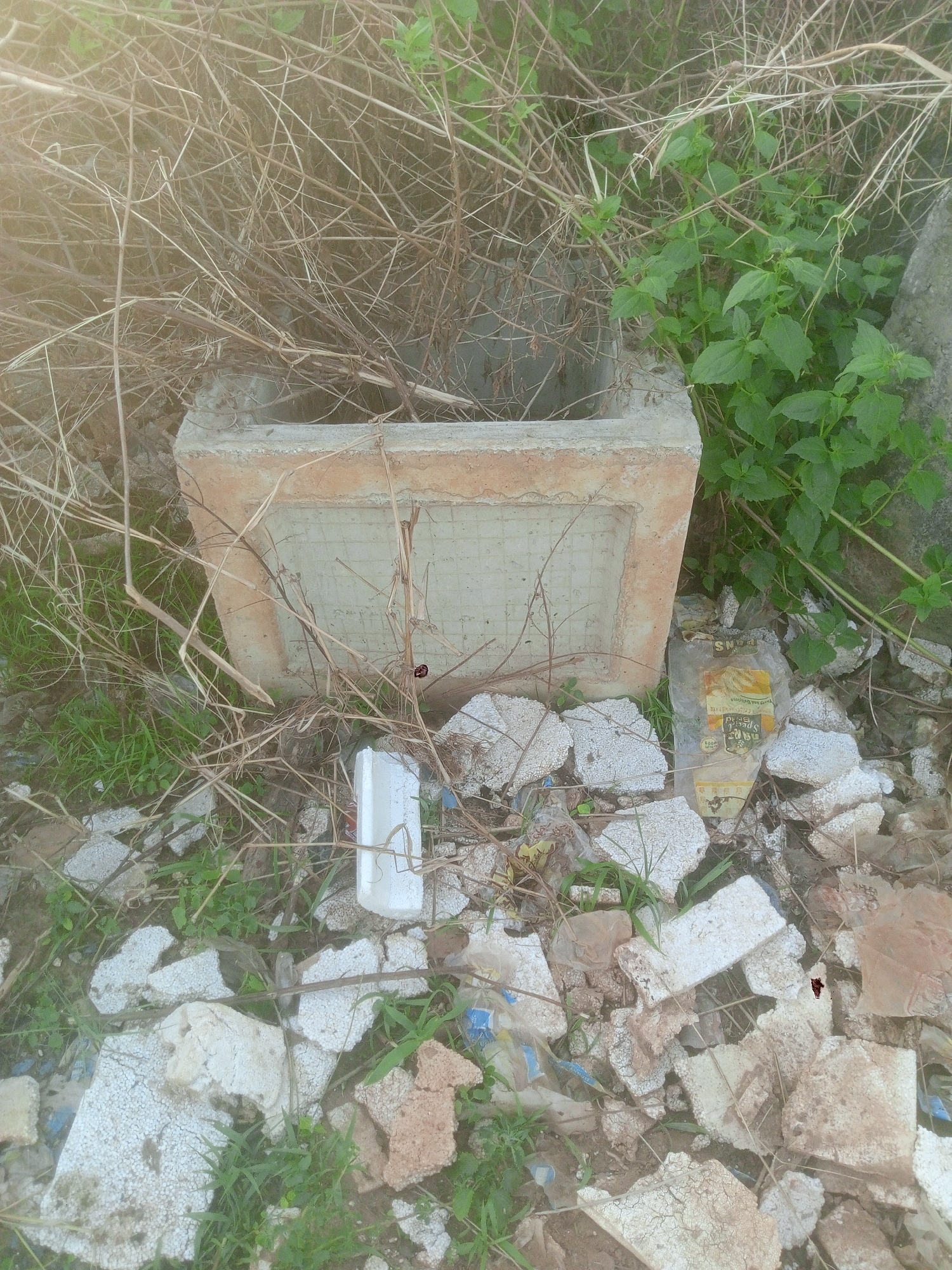 The image displays an outdoor scene in Gwarinpa, Nigeria, characterized by neglected vegetation and debris. In the center, a square, weathered concrete or stone container or planter is partially filled with dry, tangled branches. The container has a patterned, slightly textured surface on its sides.
Surrounding the central structure is a mix of dried, light-brown thorny plant stalks and vibrant green leafy plants, suggesting an overgrown area. The ground below is littered with numerous fragments of broken material, predominantly white, possibly styrofoam, plaster, or concrete, along with some light brown pieces.
Among the debris, a crumpled transparent plastic bag with yellow branding is visible. Faint text on the bag suggests "SNACKS" at the top and possibly "Pure Good" or similar branding below, though it is difficult to read clearly due to creasing. A white, rectangular piece of what appears to be styrofoam stands upright to the right of the container.
The scene appears static, with no human activity. The lighting suggests it is daytime, with soft, diffused light and no harsh shadows. The overall impression is one of a neglected or abandoned area, typical of urban informal spaces.