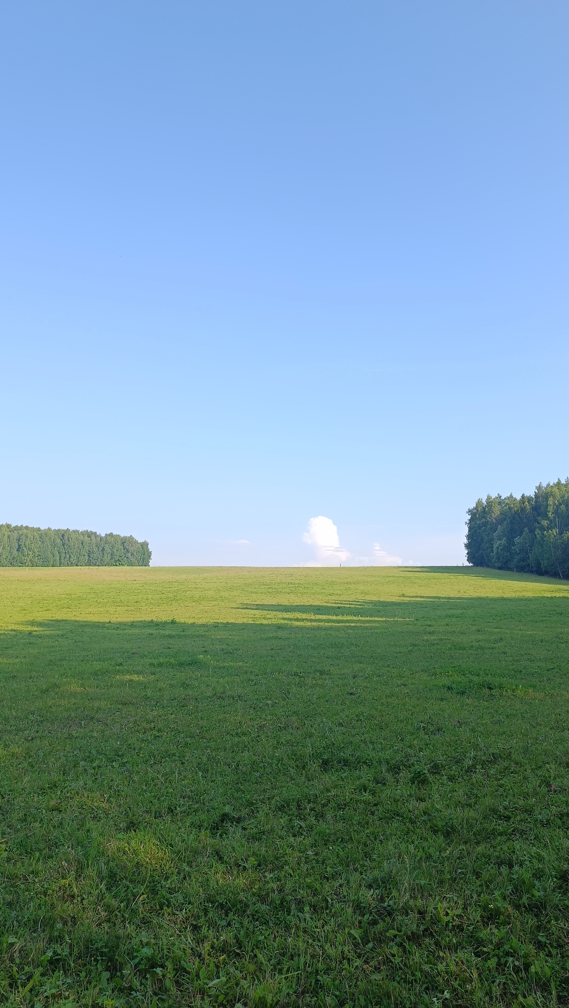 A wide, panoramic view of a grassy field under a clear blue sky. A dense line of trees borders the field in the distance on the left and right sides. A solitary, puffy white cloud is visible in the center of the frame, above the horizon. The grass in the foreground is green and appears to be recently mowed, with subtle shadows cast across it. The overall impression is one of natural, open space.
