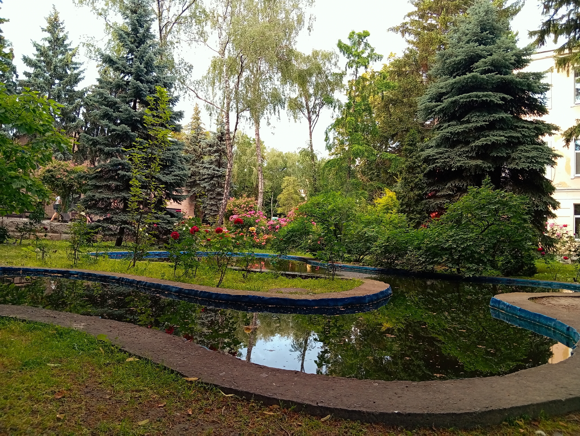 The image depicts a park scene in an urban setting, likely in the city of Unknown, Unknown. In the foreground, a dark, reflective pond with a curved, concrete edge lined with blue tiles dominates the view. The water's surface mirrors the surrounding greenery and a pale sky. To the left and right of the pond are patches of green grass, with some fallen leaves on the ground. Behind the pond, lush vegetation thrives, including tall evergreen trees, deciduous trees with light-colored bark, and a bed of vibrant pink and red roses. Further in the background, a building with light-colored walls and windows is partially visible behind the trees on the right side of the image. A few people are present in the scene, though they are small and indistinct, with one person walking in the background on the left and another near a wall. The overall impression is one of a tranquil, well-maintained urban green space.
