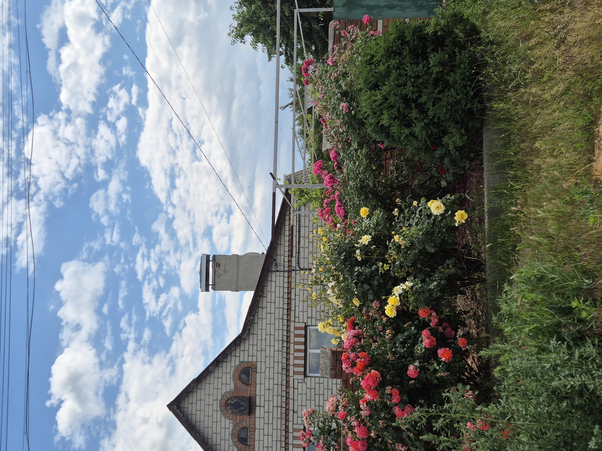 This is a landscape photograph taken outdoors, likely in a rural or suburban setting. The dominant subjects are a house and a garden filled with blooming roses.
The house is constructed of light-colored bricks with darker brick accents, featuring a pitched roof. A chimney rises from the roof, and a few small, arched windows are visible on the side of the house. The house appears to be a traditional dwelling.
The garden is abundant with roses in various shades of pink, red, and yellow. They are planted in dense bushes that surround the house and extend along a pathway or border. The greenery is lush, suggesting it's a warm season. Beyond the garden, there is an area of tall, dry grass and a dense, dark green bush. Overhead, a few power lines are strung across the frame against a bright blue sky filled with fluffy white clouds.
The overall impression is one of a sunny day in a well-maintained garden, possibly during late spring or summer. The scene evokes a peaceful and idyllic atmosphere. There are no people visible in the photograph, and no text is present. The location context provided is Sozonivka, Ukraine.