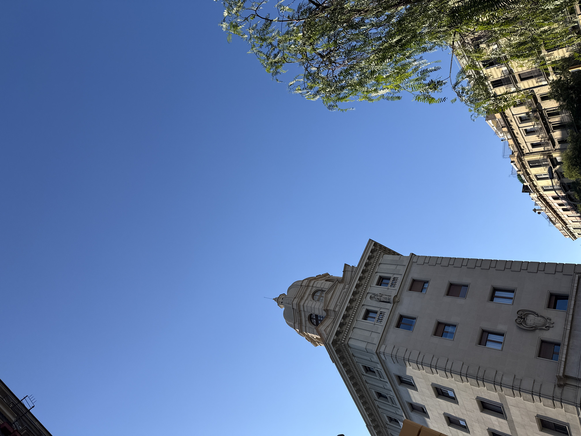 The image is a low-angle shot capturing the architecture and sky in Barcelona, Spain. A tall, light-colored building with a domed top occupies the lower right quadrant of the frame. It features multiple windows and decorative elements. In the top right corner, the facade of another building is visible, obscured slightly by tree branches with green leaves. The rest of the image is a clear blue sky, providing a backdrop for the architectural details and foliage. The angle suggests the photo was taken from the street level looking upwards.