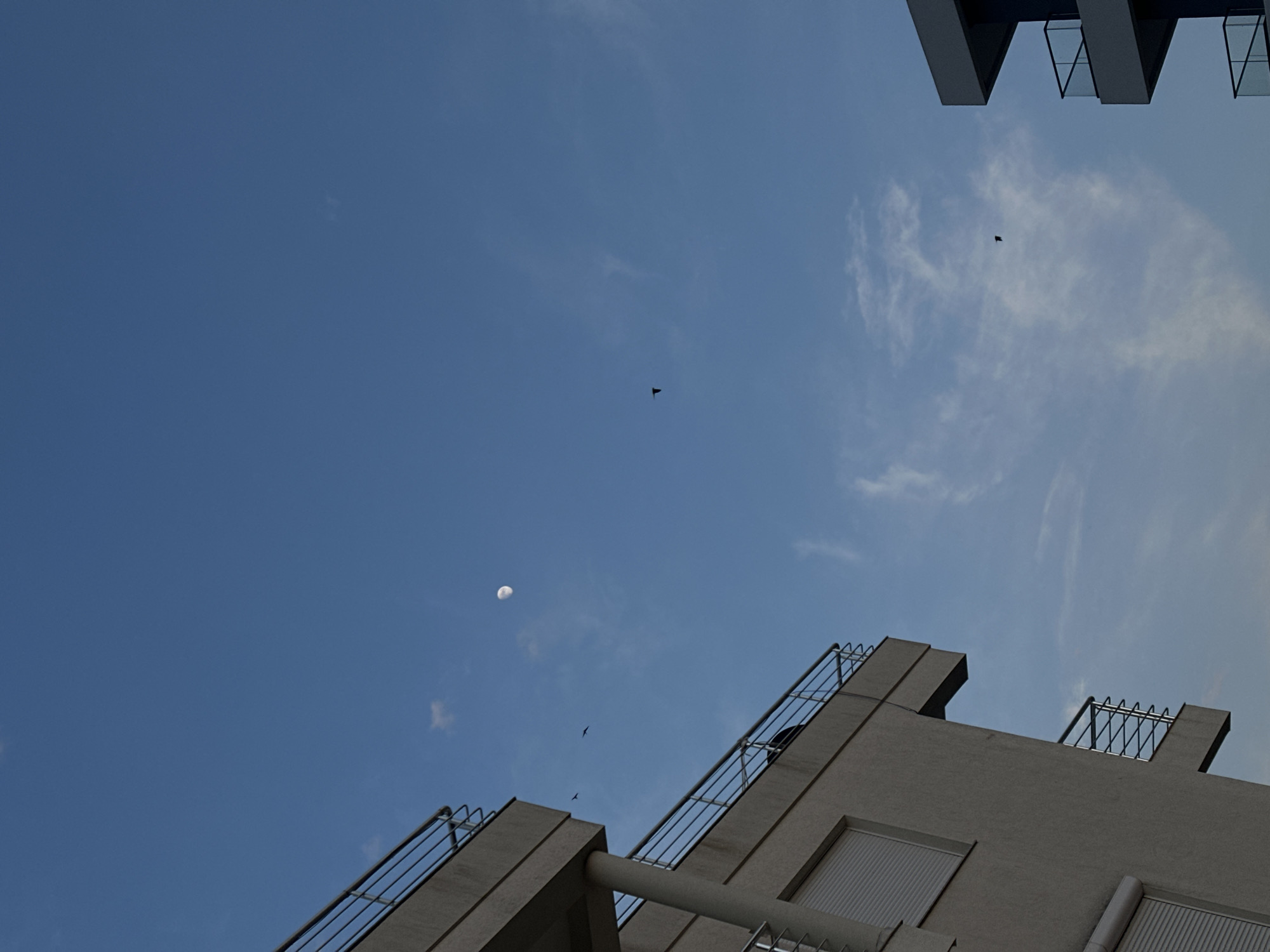 The upward-angled view features a pale crescent moon in the blue sky, along with several birds in flight. Portions of two buildings are visible. The building in the lower right is a gray concrete structure with metal railings and what appear to be window vents. At the top of the image, fragments of a modern glass-and-concrete building are seen. The sky is blue with some wispy cirrus clouds. The location is presumed to be Bar, Montenegro, based on the prompt.