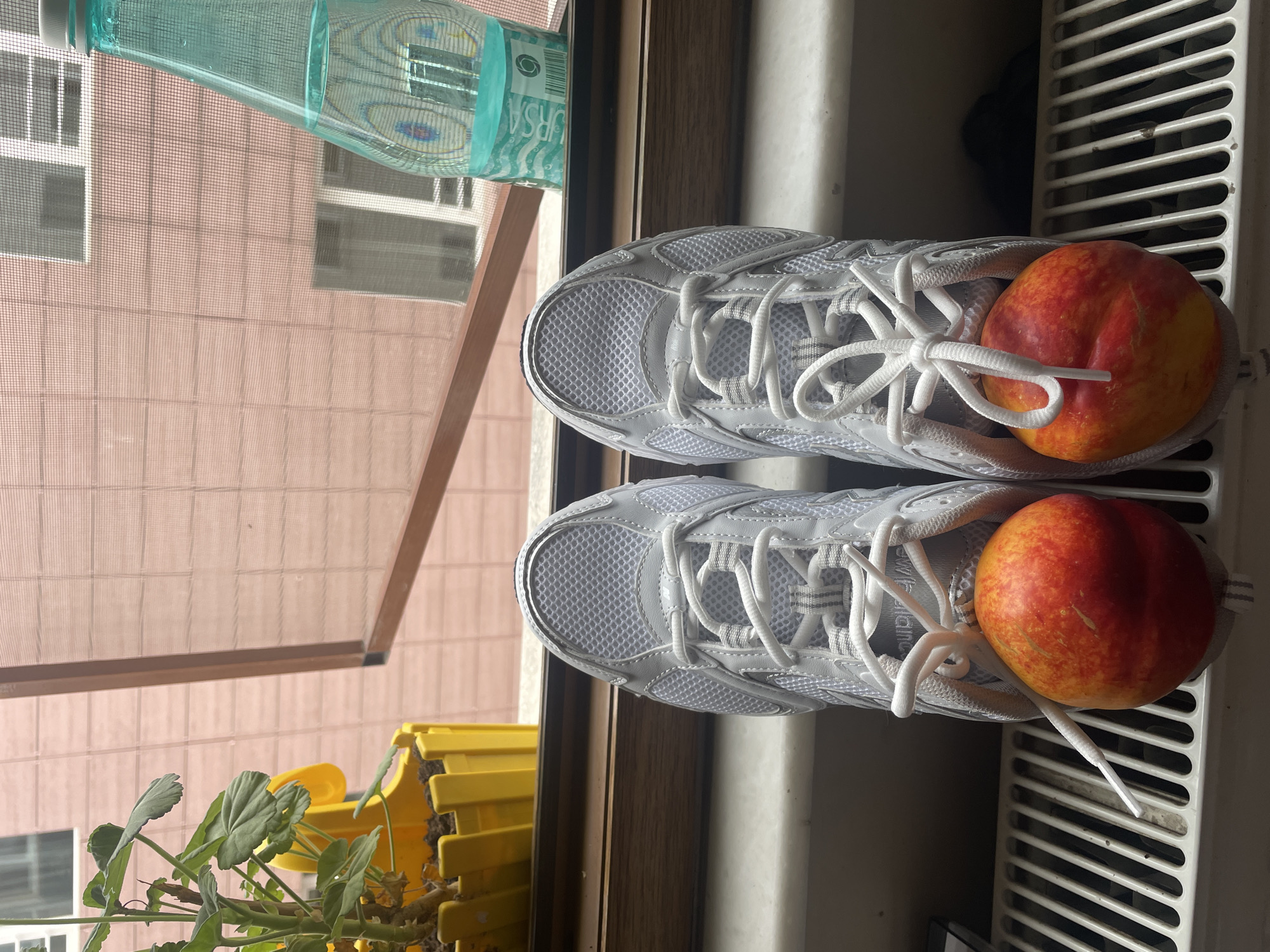 A pair of white athletic shoes are placed on a windowsill, with a peach stuffed into the toe of each shoe. To the left of the shoes is a potted plant with green leaves in a yellow planter. Behind the shoes and plant is a window with a screen and a building visible outside. To the right of the shoes is a turquoise bottle of water. The shoes are positioned on the windowsill above a white radiator with horizontal slats. This scene is observed from a high angle, looking down on the objects. The location is not specified as Kadıköy, Turkey.