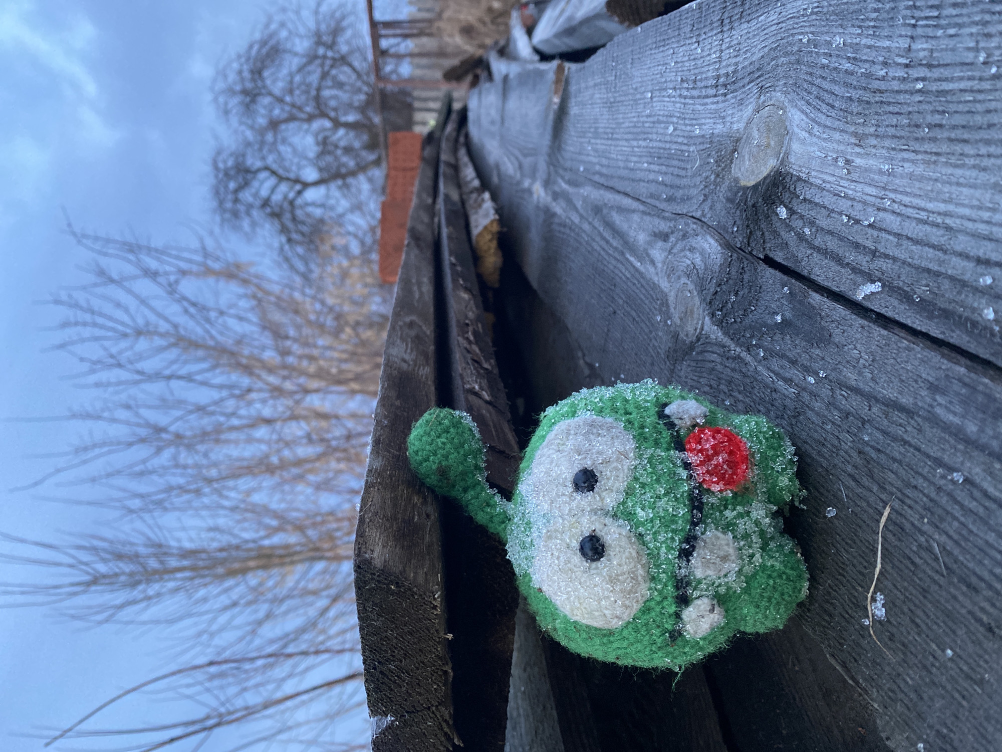 A low-angle shot depicts a green, knitted toy resting on weathered, gray wooden planks covered with scattered ice crystals. The toy has white eye patches with black pupils and a red circular object attached, possibly a nose. The texture of the wood shows age and wear. Bare tree branches are visible against a cloudy sky in the background. The location is Ольховка, Russia. No people, actions, or interactions are visible.