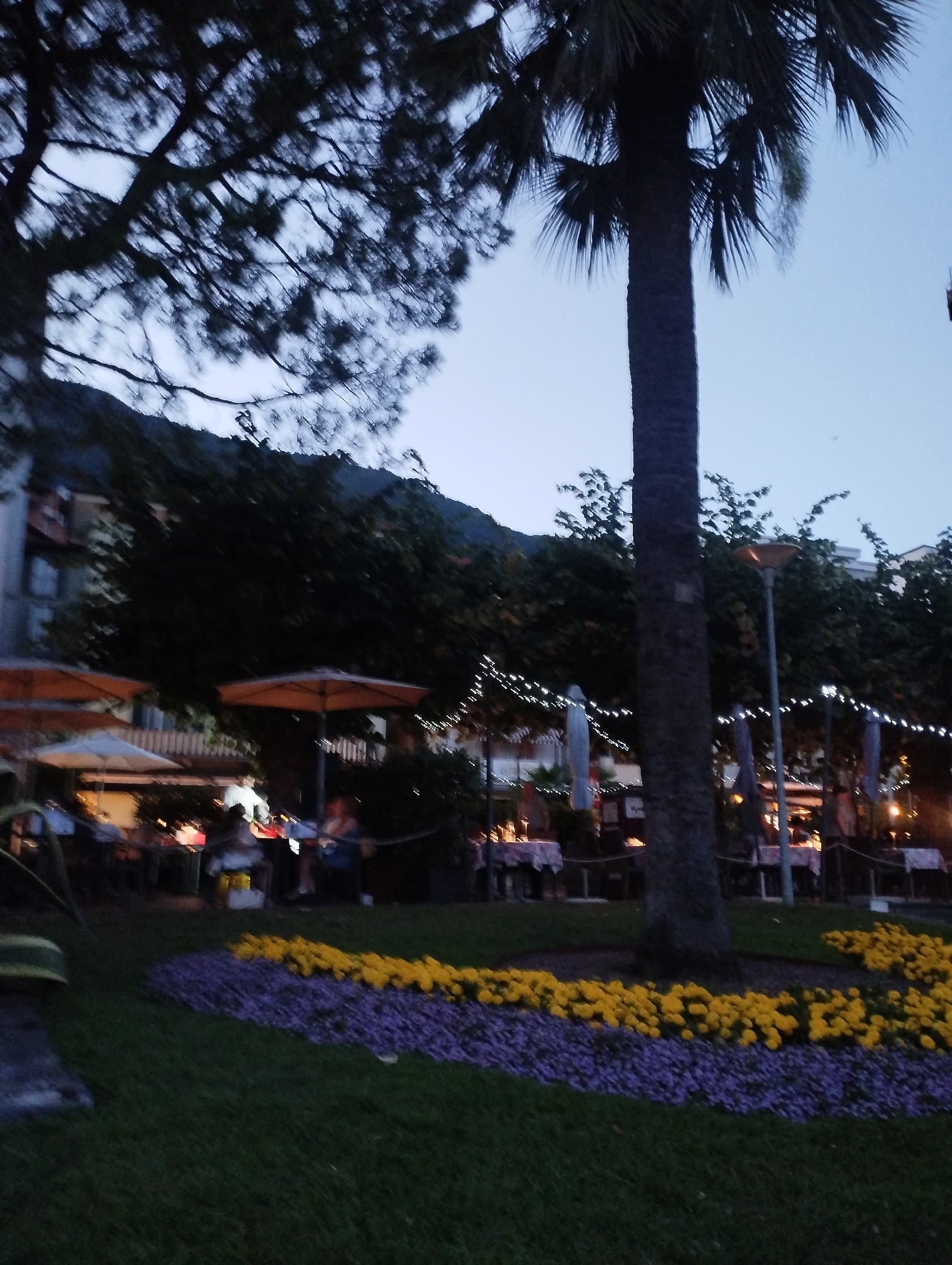 The image depicts an outdoor dining area at dusk. A large palm tree stands prominently in the foreground. In the background, there is a building with windows and a mountain with trees. The area features tables with umbrellas, some covered with white tablecloths, suggesting a restaurant or cafe. String lights are visible, illuminating the scene. A pathway or lawn with purple and yellow flowers is in front of the tables. Several people are seated at the tables or walking around, engaged in dining or socializing. The overall atmosphere appears relaxed and social. The location is identified as Muralto, Switzerland.