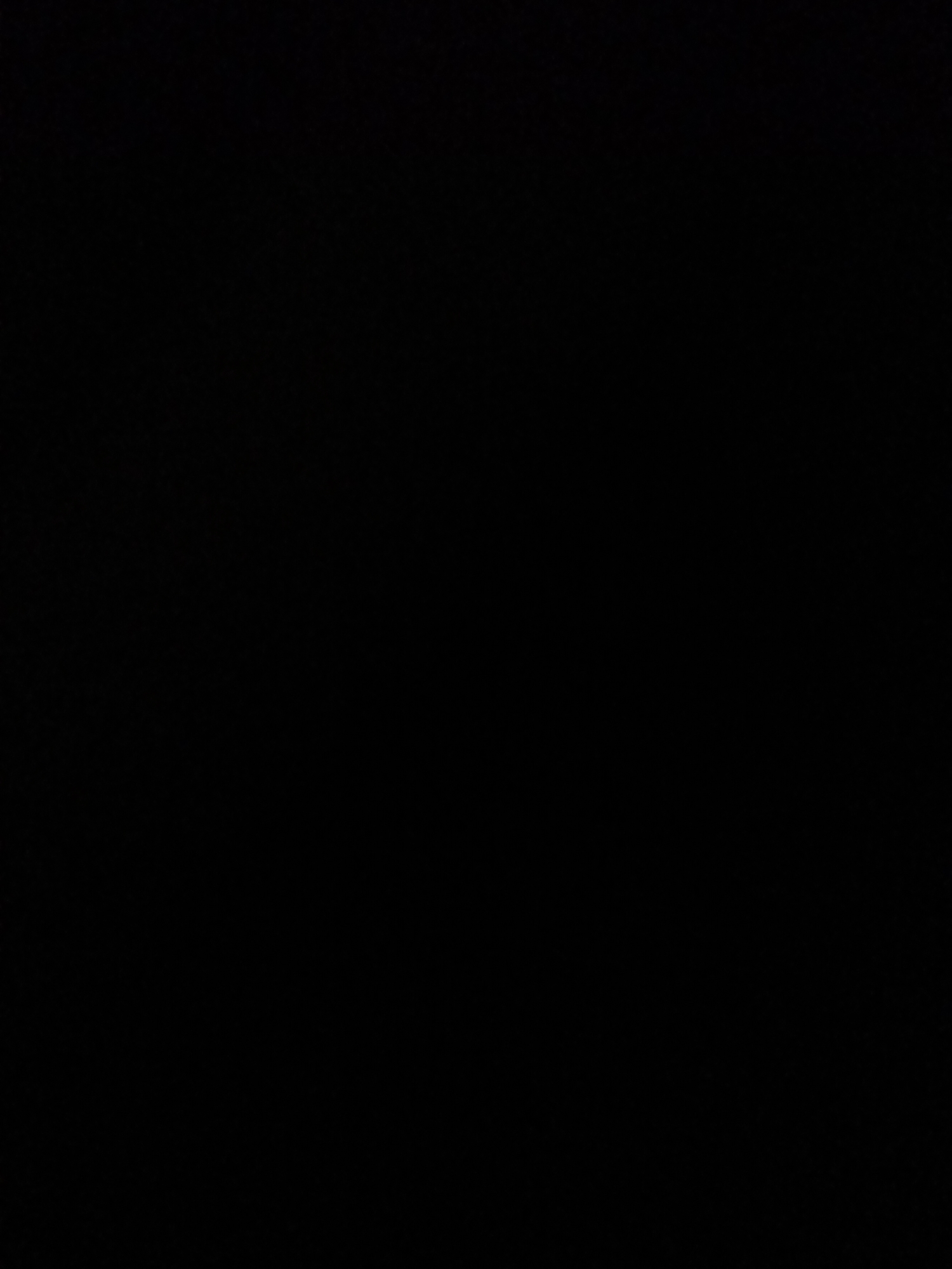 The provided image is entirely black, offering no visual information about subjects, activities, or details of a scene. Therefore, it is impossible to describe any elements such as people, objects, settings, time of day, weather, location cues, emotions, or visible text. The image is devoid of any discernible content.