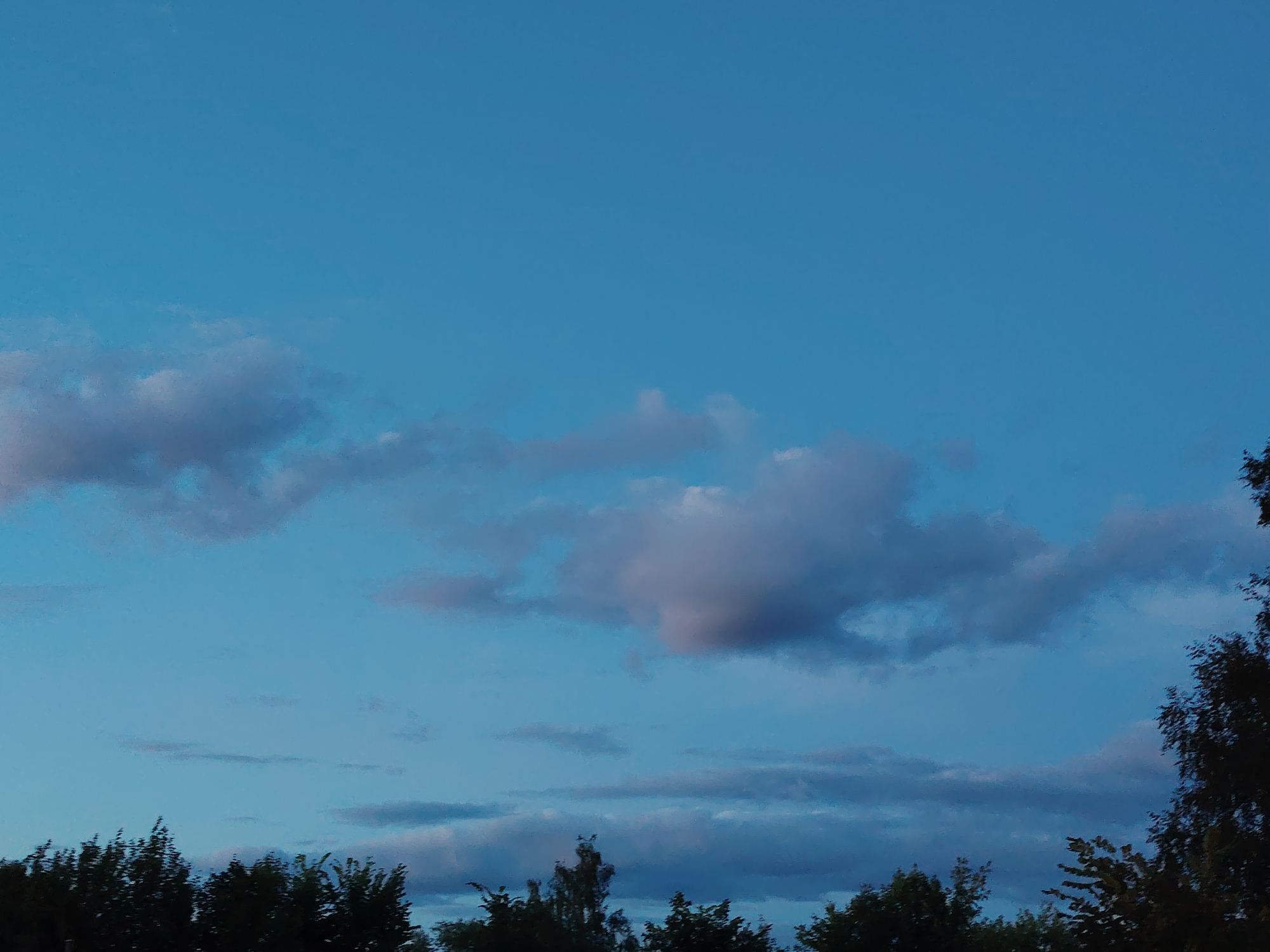 The image depicts a clear blue sky with scattered, wispy clouds. The lower portion of the frame is dominated by the dark silhouettes of trees, indicating a landscape view. The lighting suggests it is either early morning or late evening. This scene is a generic outdoor landscape and does not contain any specific identifiable landmarks or elements that would place it in the city of Konakovo, Russia.