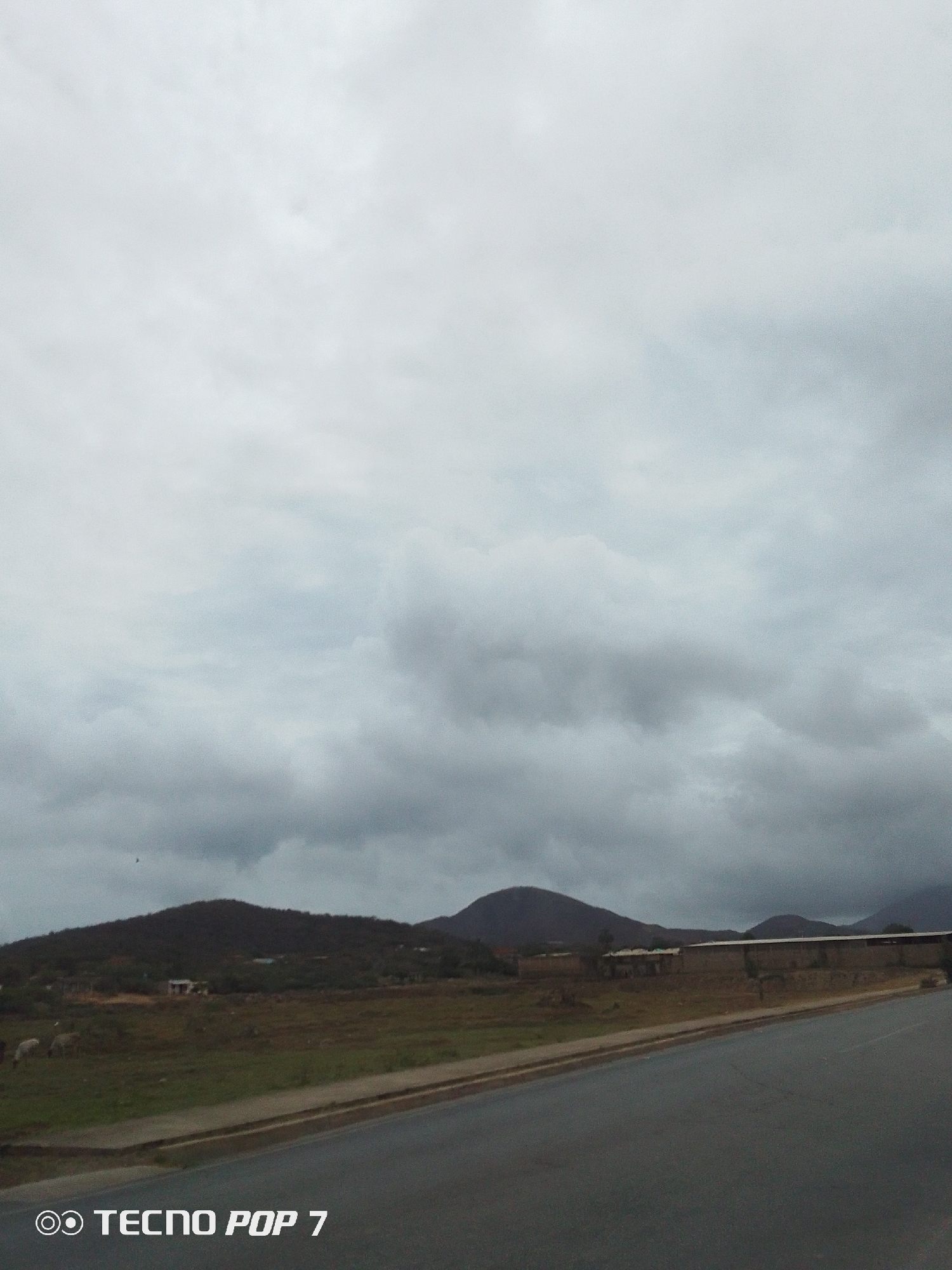 The image displays a wide-angle view of a rural or semi-rural landscape under a heavily overcast sky. The top two-thirds of the frame are filled with dense, grey clouds, creating a flat and diffused light across the scene.
In the mid-ground, a range of dark, undulating hills or mountains stretches across the horizon. Below these, an expanse of open land, featuring patches of green grass and dry earth, serves as pasture. On the left side of this field, several light-colored animals, likely sheep or goats, are visible grazing. Towards the right, a long, low-slung building with a lighter-colored roof runs along the edge of the field, parallel to the road. Further left, nestled against the foothills, are a couple of smaller, more rustic structures.
A dark, paved road occupies the foreground, sweeping diagonally from the bottom right towards the center. It features a distinct concrete curb or shoulder on its left side. A tiny, dark bird is discernible in flight in the upper left portion of the cloudy sky.
The scene suggests a quiet, possibly remote area, aligning with the implied location of Altagracia, Venezuela. The heavy cloud cover indicates an overcast day, potentially before or after rain. No people are visible, and the primary activity is animals grazing and a bird in flight. The overall mood is tranquil and muted due to the lack of direct sunlight. The only visible text is a "TECNO POP 7" watermark located in the bottom left corner of the image.