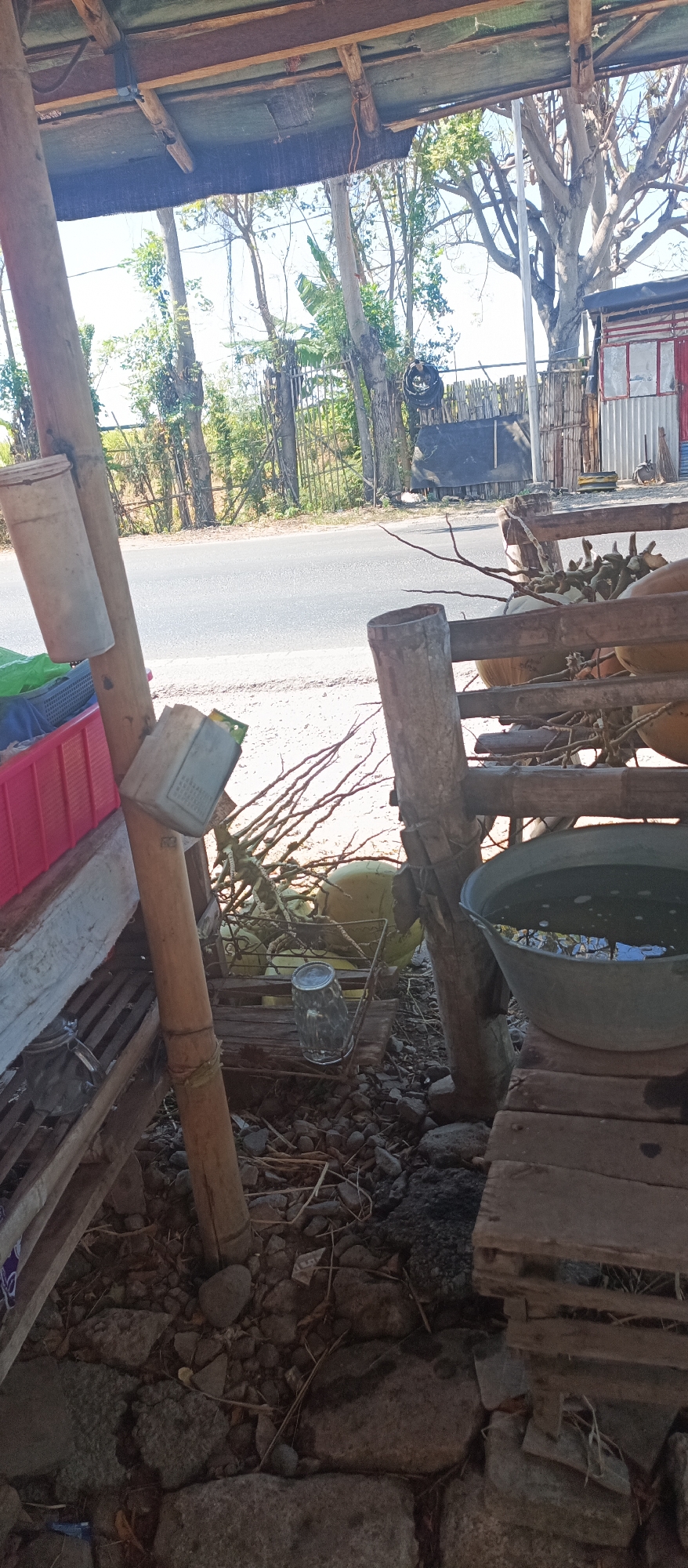 The image depicts an outdoor scene in Jatisari, Indonesia, likely near a roadside stall or informal market. In the foreground, a rough wooden structure is visible, constructed from uneven planks and bamboo poles. To the left, a stack of plastic crates, one pink and one blue, is partially visible, suggesting goods being stored or displayed. A metal basin filled with water sits on a wooden platform to the right. In the background, a paved road stretches across the frame, flanked by trees and vegetation. Further back, a corrugated metal structure with red and white accents suggests a small building or kiosk. The ground is covered with rocks, dirt, and scattered dry foliage. Several coconuts, some green and some brown, are arranged on the wooden structure, along with dried branches and a glass jar. The overall impression is one of a rustic, open-air setup.