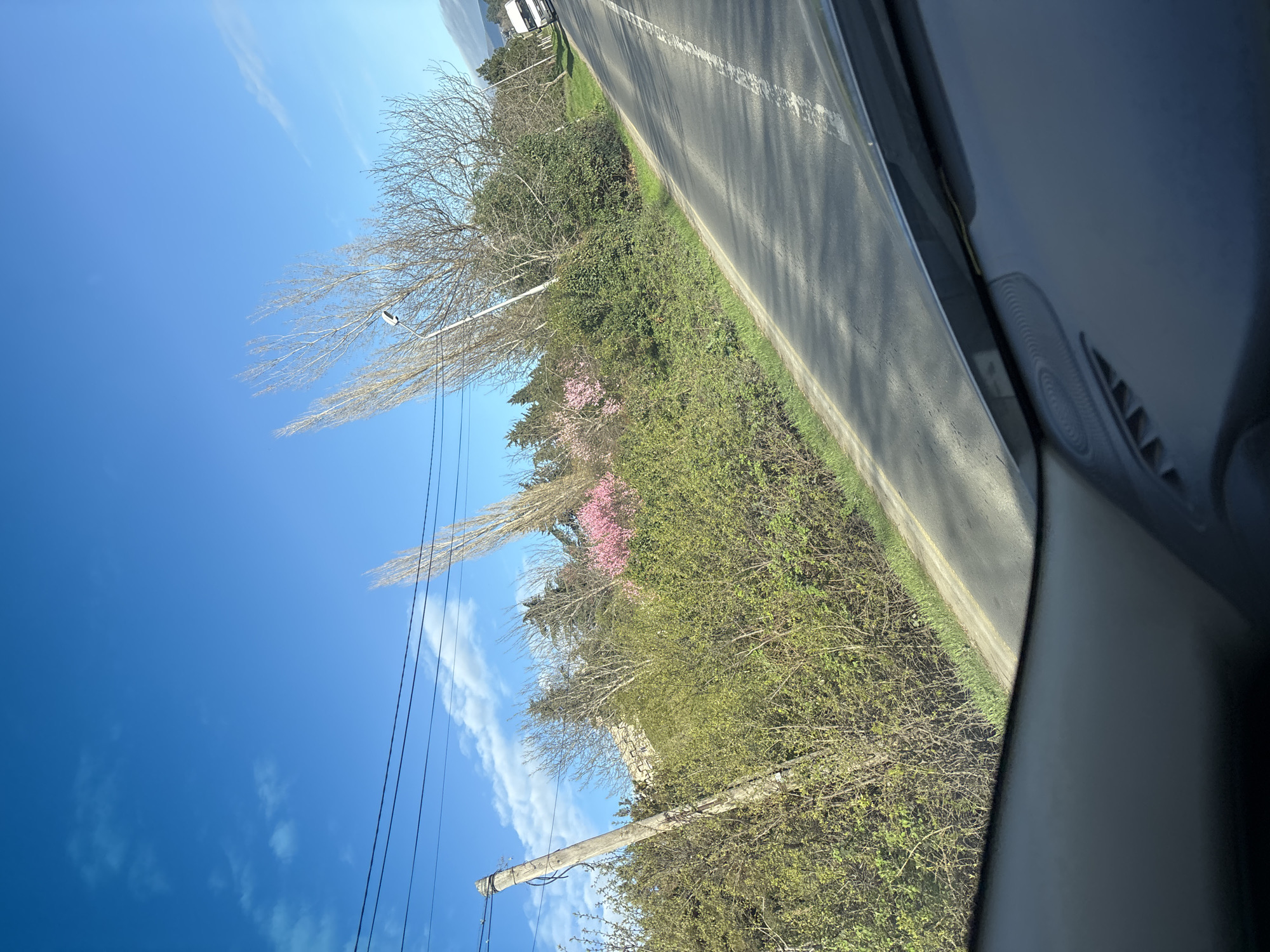 The image shows a view from inside a vehicle, possibly a car, looking out at a road with a roadside landscape. The road is asphalt with a white dividing line. Adjacent to the road is a green strip with trees and bushes. Some trees have bare branches, while others have some pink blossoms. A utility pole with power lines is visible against a blue sky with some wispy clouds. The image is likely taken in Tbilisi, Georgia, although that is not explicitly proven. The scene appears to be taken during daytime.