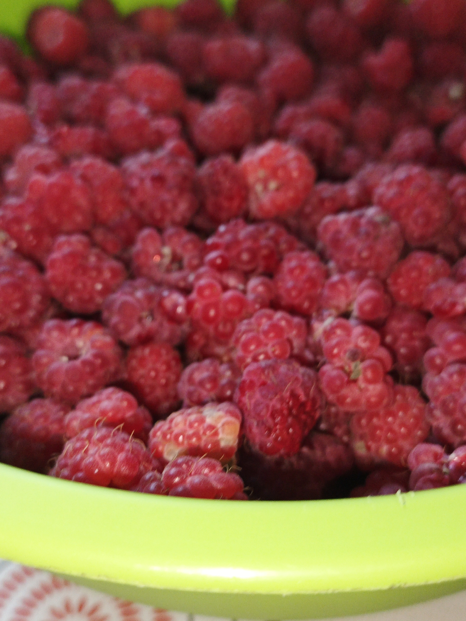 A close-up, high-angle, vertical shot shows a bright green plastic bowl filled with ripe, red raspberries. The raspberries are densely packed, with many individual drupelets visible on each berry. Some of the raspberries appear slightly fuzzy due to their natural texture. The bowl is positioned on a surface that has a white and pink patterned fabric. The image is slightly out of focus, with the sharpest details appearing in the center of the bowl. There is no indication of the city of Medvedyovka, Russia.