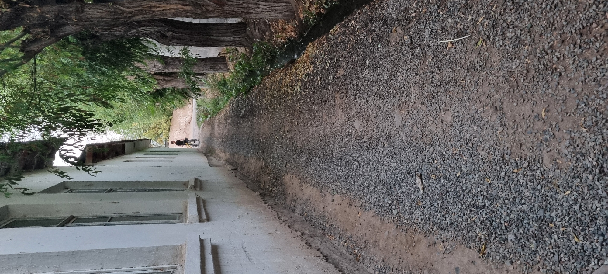 A low-angle, eye-level shot captures a narrow gravel path running alongside a white building with multiple windows. The building wall is textured and shows signs of age. On the right side of the path, a row of large trees with rough bark and dense green foliage line the way. A small, dark ditch filled with water runs alongside the trees. In the distance, a young person is visible, riding a bicycle on the path. The overall scene appears to be in a rural or semi-rural area, possibly in the city of Jomi, Tajikistan, given the architectural style and vegetation. The lighting suggests it is daytime, possibly late afternoon, with soft, diffused light.