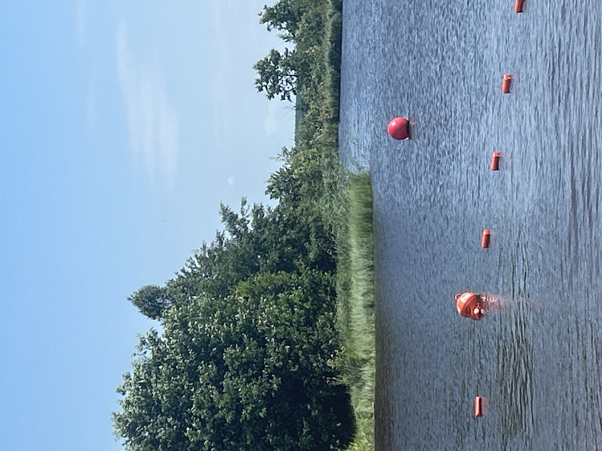 The image depicts a body of water with a lush green shoreline and a clear blue sky. Several orange buoys are visible in the water, some shaped like cylinders and one larger, spherical buoy. The shoreline is densely covered with trees and vegetation. The scene is consistent with a natural outdoor environment, such as a lake or river. Based on the available visual information, this scene is likely located in Sestroretsk, Russia, a resort town known for its natural beauty and proximity to the Gulf of Finland.