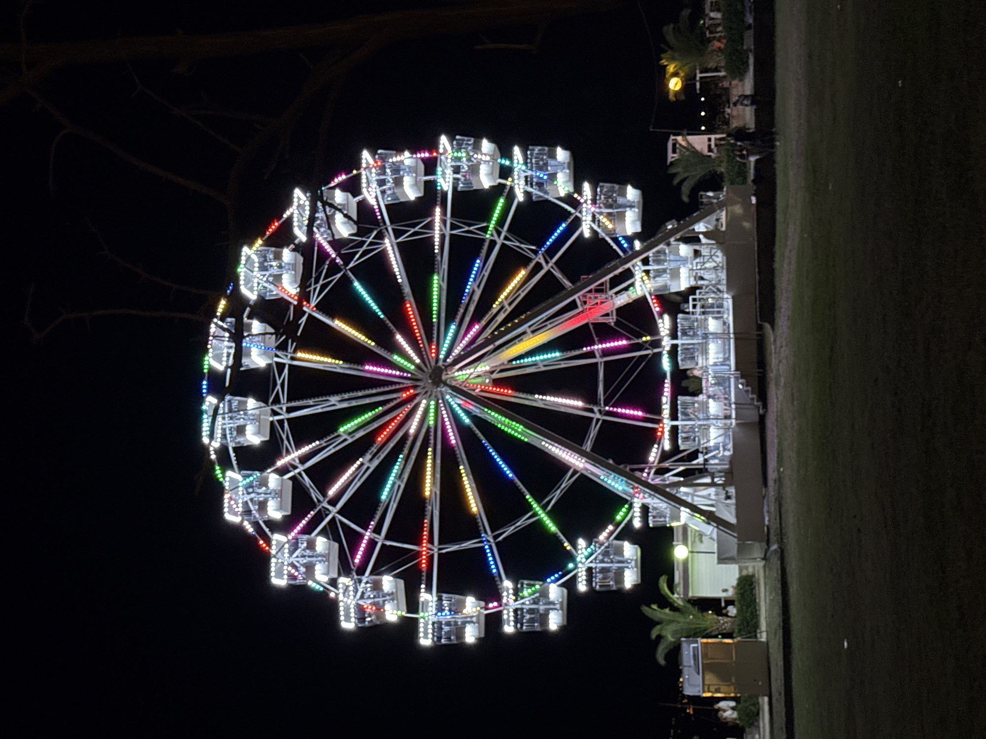 The image depicts a Ferris wheel illuminated with colorful lights at night. The Ferris wheel is the central subject, with its white structure and multi-colored bulbs clearly visible against the dark sky. The cabins of the Ferris wheel are white and appear to be empty or occupied by a few individuals. Around the base of the Ferris wheel, there are structures that appear to be part of an amusement park or fairground, including ticket booths and low walls. Palm trees are visible to the left and right of the Ferris wheel, suggesting a coastal or warm climate location. In the foreground, there is a grassy area. The background is dark and out of focus, with some distant lights hinting at the presence of a town or city. The overall impression is of a festive nighttime scene at an amusement attraction. This Ferris wheel is located on the promenade in Budva, Montenegro, a popular tourist destination known for its beaches and vibrant nightlife.