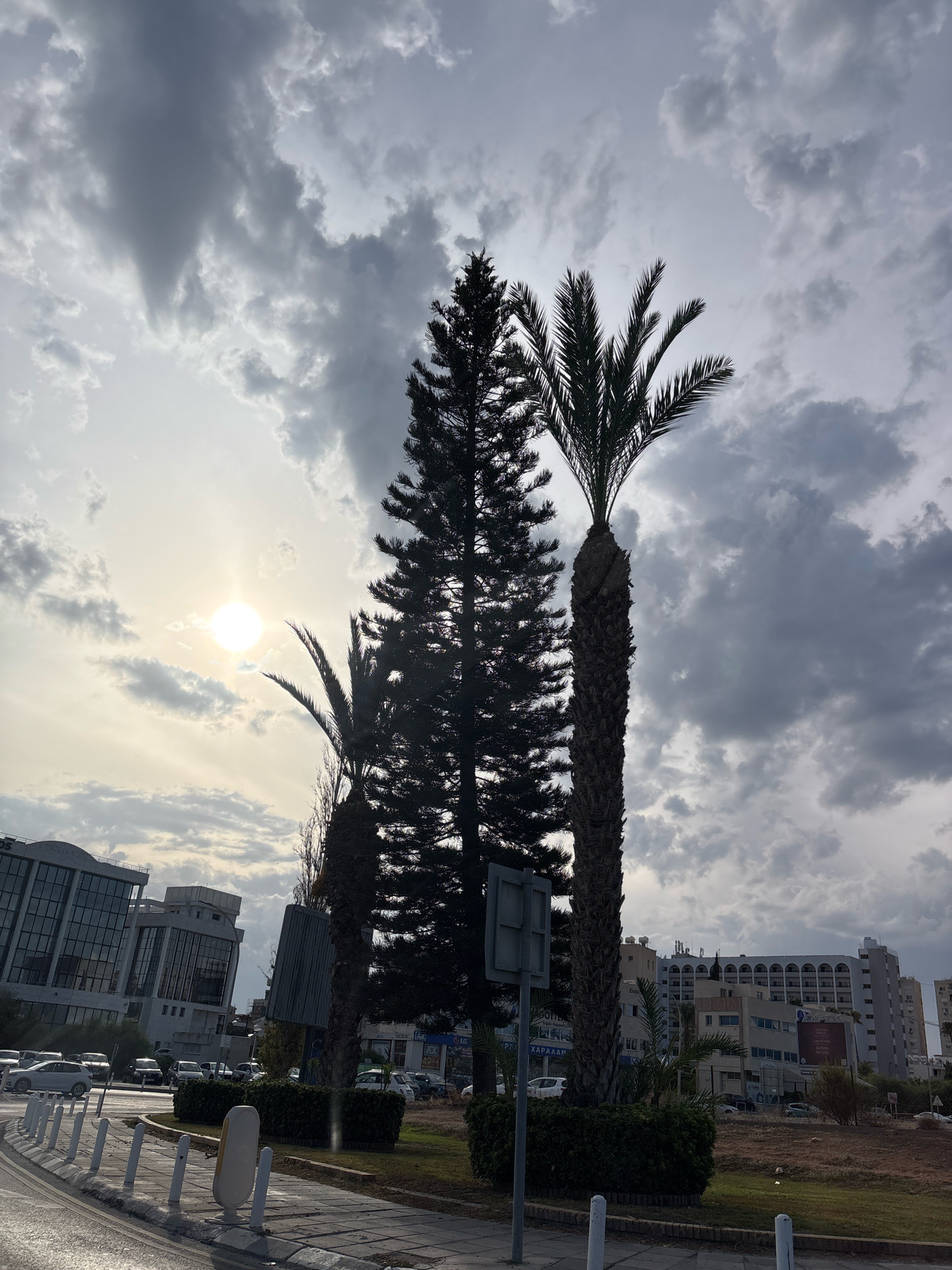 The image depicts an outdoor scene with a cloudy sky and the sun partially visible. In the foreground, there's a street with a paved sidewalk and several white bollards. A few palm trees and a coniferous tree are silhouetted against the sky. Behind the trees, there are buildings, including a modern glass-fronted structure and a larger building with arched windows. The scene appears to be in a city.
