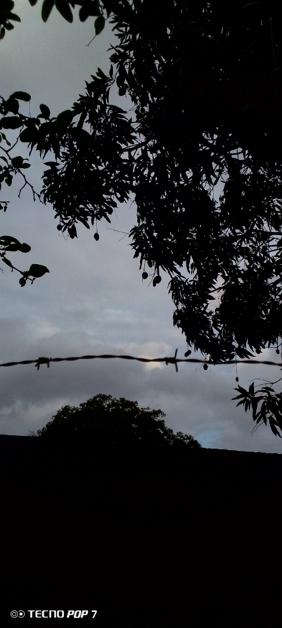 The image depicts a silhouette of trees and barbed wire against a cloudy sky. In the foreground, a strand of barbed wire stretches horizontally across the frame. Behind the barbed wire, silhouetted trees with visible fruit are visible against a muted, overcast sky. Further in the background, another dark mass of foliage or trees sits atop a dark horizontal line, possibly representing a roof or hillside. The bottom portion of the image is entirely black, with white text at the very bottom left corner reading "TECNO POP 7". The scene appears to be outdoors, possibly in a rural or semi-rural setting given the barbed wire and the natural elements. The lighting suggests it is either dawn, dusk, or a heavily overcast day. There are no people or animals visible in the image.