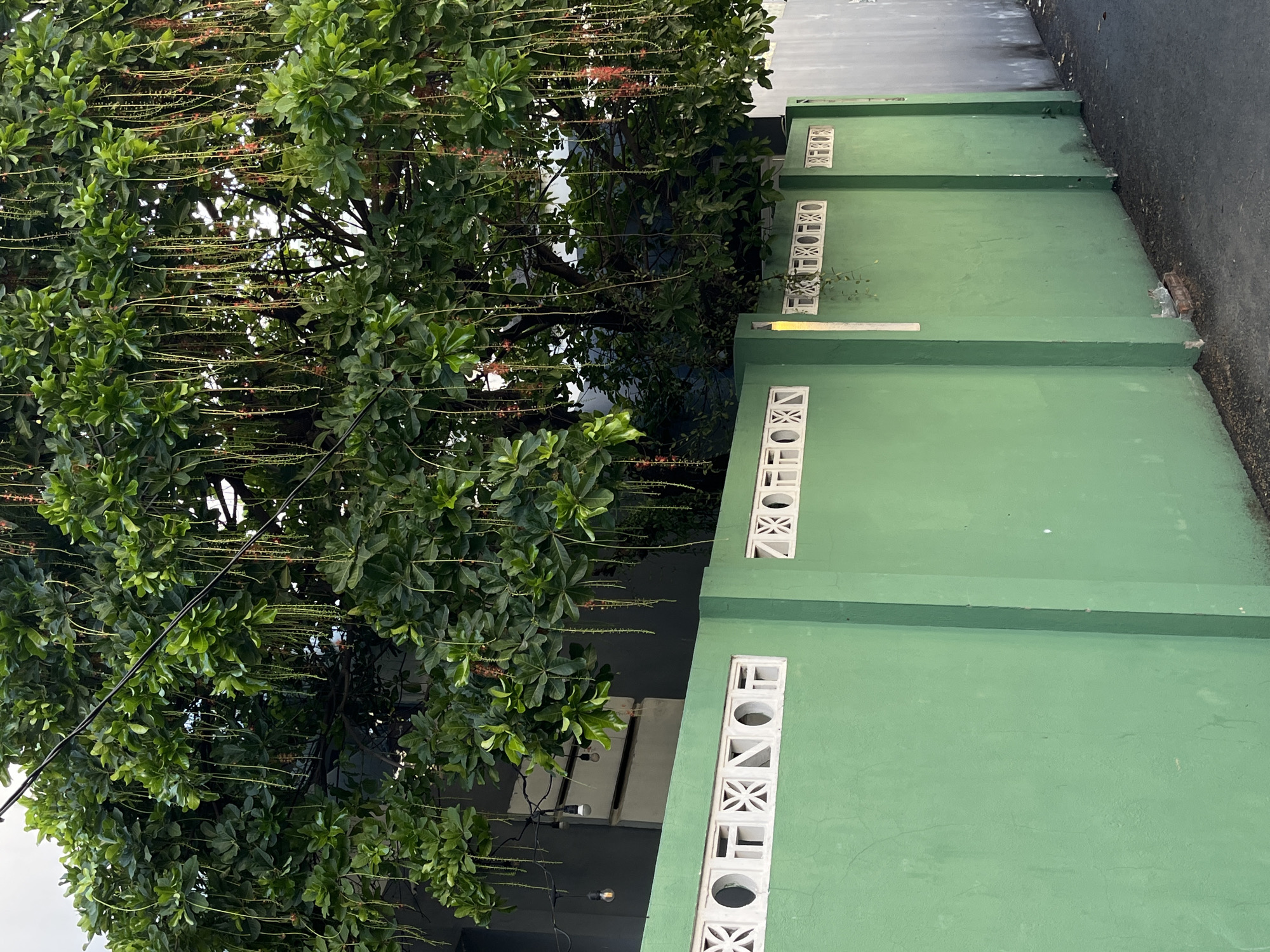 The image shows a three-tiered green wall with decorative white concrete blocks for ventilation, positioned next to a leafy tree with hanging reddish-brown seed pods. The wall is likely part of a building. A portion of a road or pathway is visible along the top edge of the image. The location appears to be in a residential or urban area, but it is difficult to confirm that it is the city of Da Nang, Vietnam, without additional context.