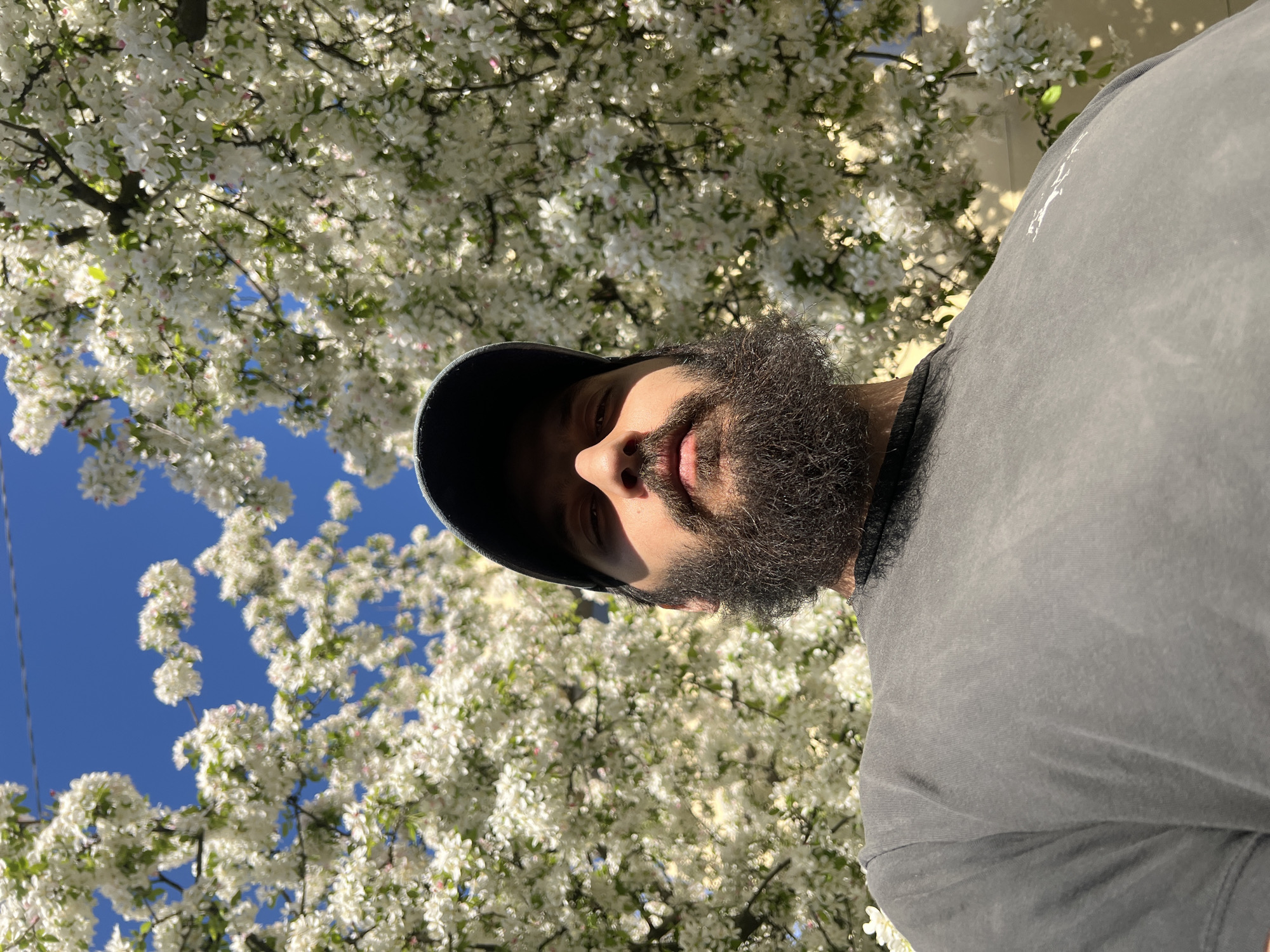 A man with a full beard and a dark baseball cap is positioned in the foreground, looking upwards towards the camera. He's wearing a gray t-shirt. Behind him is a tree heavily laden with white blossoms, with patches of bright blue sky visible in between the branches. The location appears to be outdoors, possibly in the City of Newburgh, United States of America. The image is taken from a low angle, giving the impression that the photographer is looking up at the man and the tree.