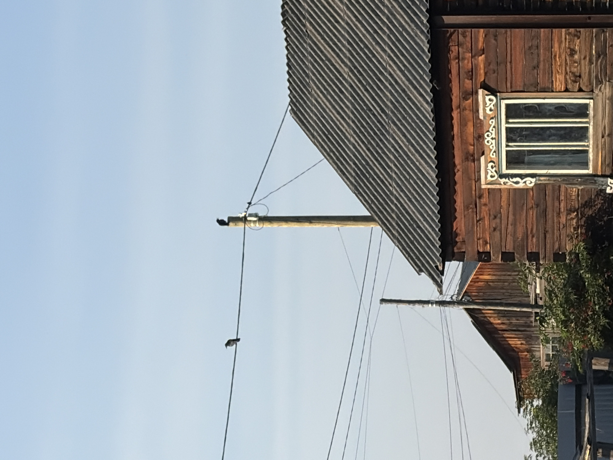 The image depicts a rural scene in Myandigi, Russia, under a clear blue sky. In the foreground, the corner of a rustic wooden house with a corrugated roof is visible. The house has a window with decorative white trim and metal bars. To the left of this house, a portion of another wooden structure with a similar roof is seen. A prominent wooden utility pole stands between the two buildings, supporting electrical wires that stretch across the frame. Two birds are perched on these wires; one is positioned further to the left, and the other is closer to the utility pole on the right. Lush green foliage is visible in the lower portion of the image, partially obscuring some of the lower structures. The overall impression is one of a tranquil, sunlit day in a village setting.