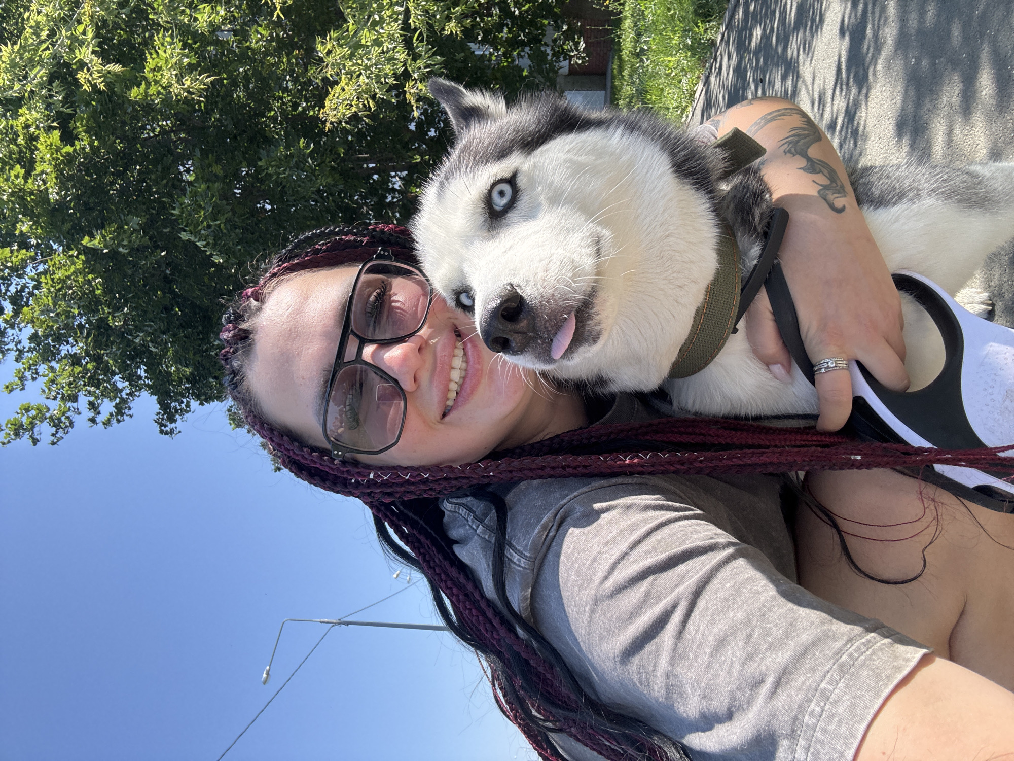 A young woman with dark hair in burgundy braids and wearing a grey hoodie and sunglasses smiles for a selfie outdoors on a sunny day. She is holding a husky dog, which is sticking its blue-eyed tongue out at the camera. The background shows trees and a paved path, suggesting an urban park or residential area. A street lamp is visible in the distance. The presence of a street lamp with a specific design and the surrounding vegetation are consistent with locations in Tolyatti, Russia, though a definitive identification requires more specific landmarks.
