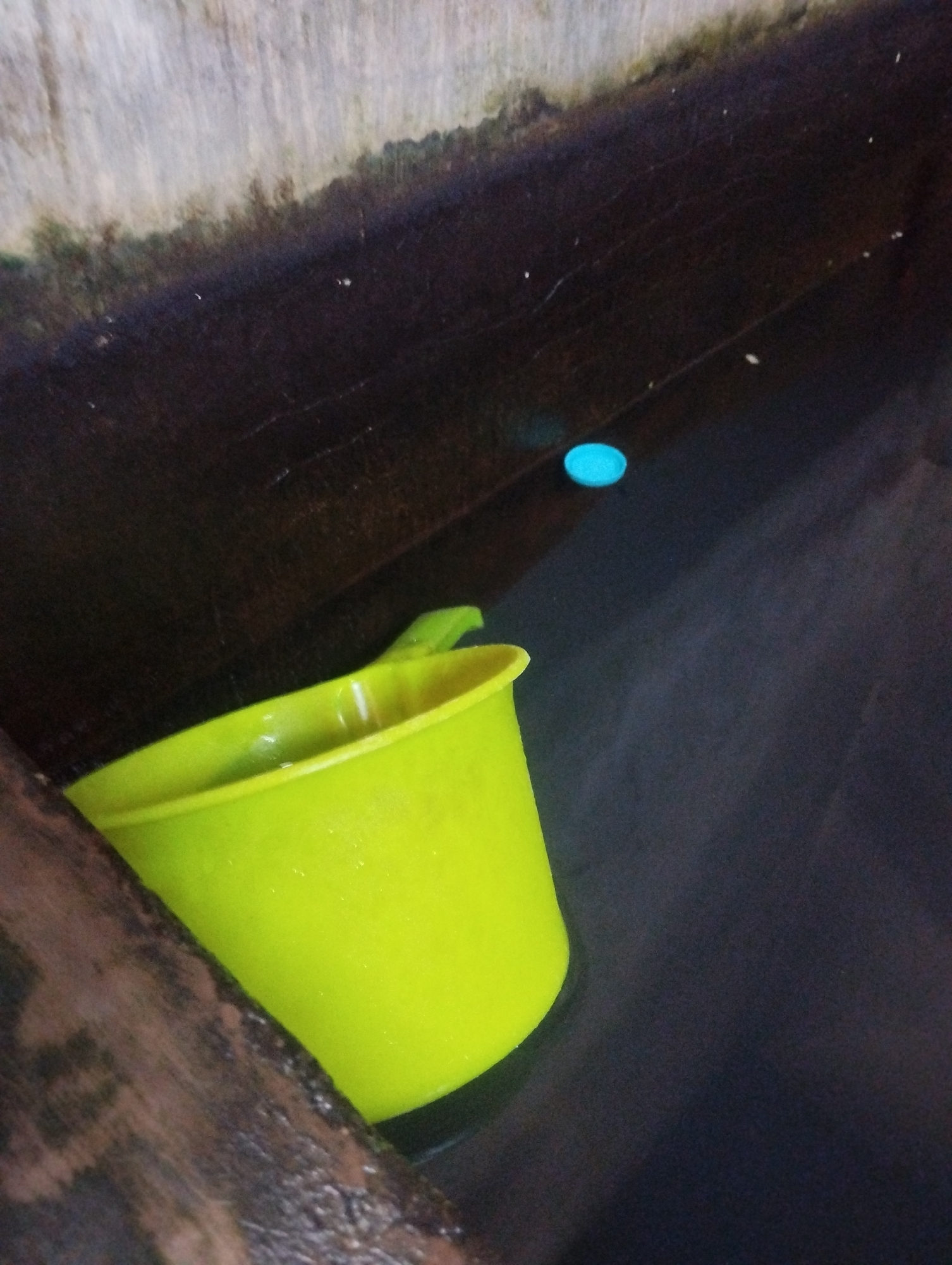 A bright yellow plastic bucket is partially submerged in dark water, resting against a dark, rough-textured surface. The bucket has a handle that curves over its rim. A small, bright blue circular object floats on the surface of the water to the right of the bucket. The environment appears to be an outdoor setting, possibly a water collection area or a ditch, with rough, wooden or stone edges visible in the upper and lower left corners of the image. The scene is dimly lit, suggesting it might be indoors or in a shaded outdoor area.