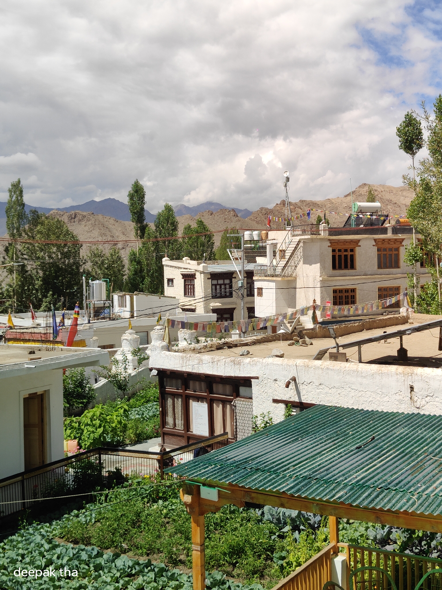 The image depicts a village scene in Leh, India, characterized by traditional architecture and the mountainous landscape of Ladakh. In the foreground, lush green crops, likely vegetables such as cabbage, are visible in a garden area. A corrugated green metal roofed structure, possibly a gazebo or shed, is partially visible, with wooden supports. Beyond the garden, white-washed buildings with flat roofs and wooden-framed windows are prominent. Prayer flags, a common sight in the region, are strung between buildings. Some of these buildings appear to be guesthouses or residential homes. The architecture features elements like external staircases, solar water heaters, and satellite dishes, indicating a blend of traditional and modern amenities. The background is dominated by rugged, barren mountains under a partly cloudy sky. The overall atmosphere suggests a serene, rural setting in a high-altitude region. The timestamp "deepak tha" is present in the lower left corner.